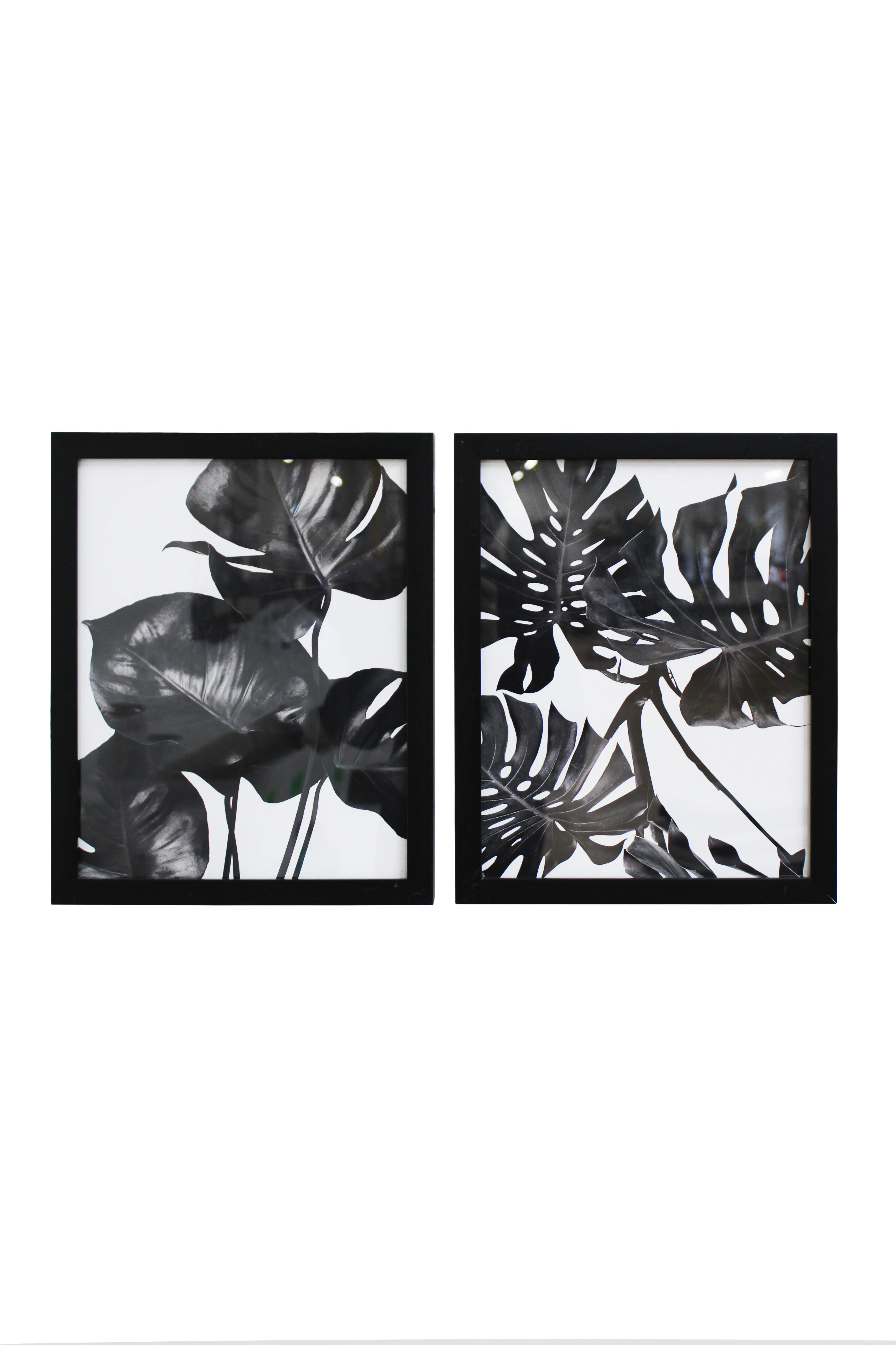 Monochrome Foliage Artwork Set - BAW1112