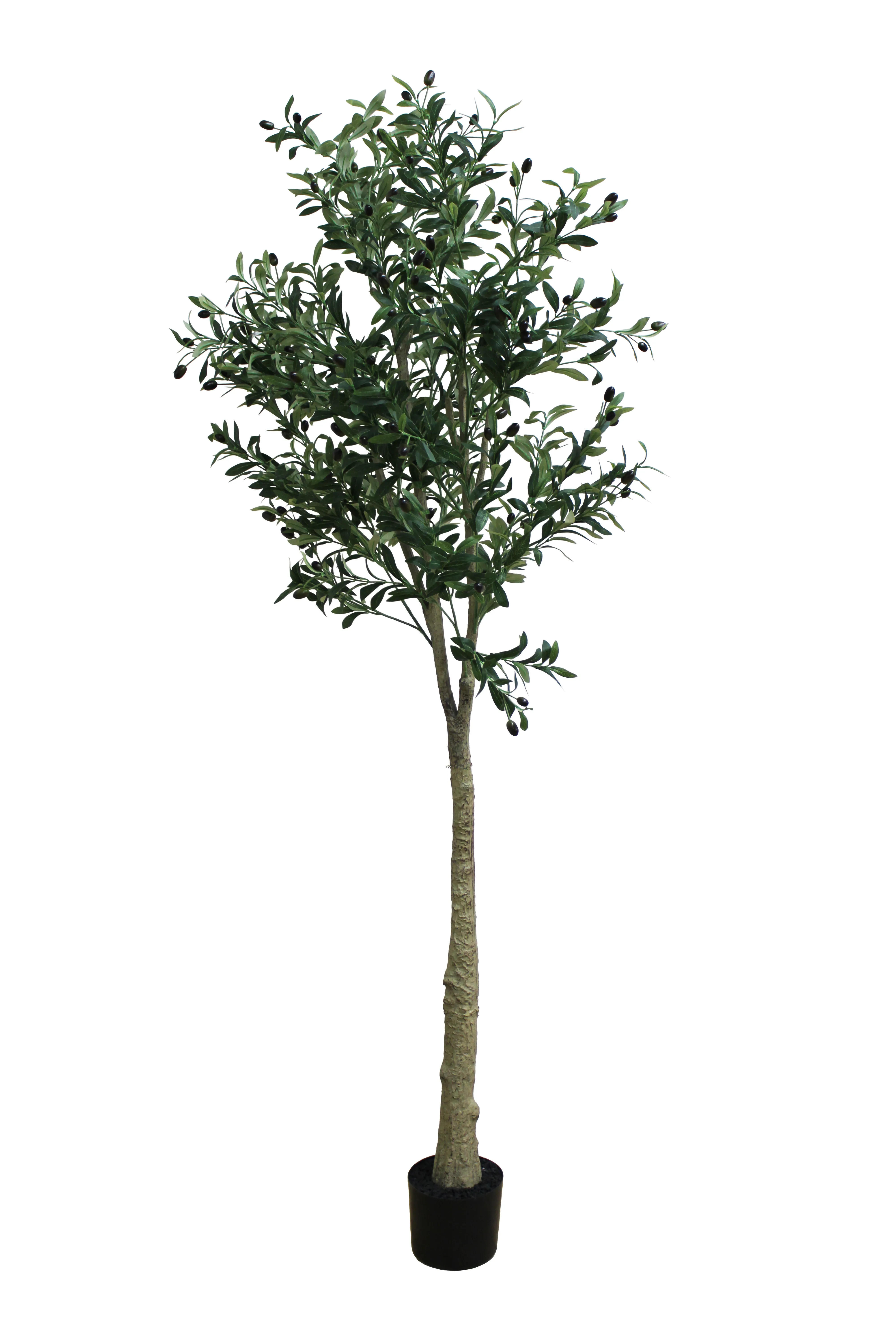 Olive Tree Floor Plant 5.5' - FP22