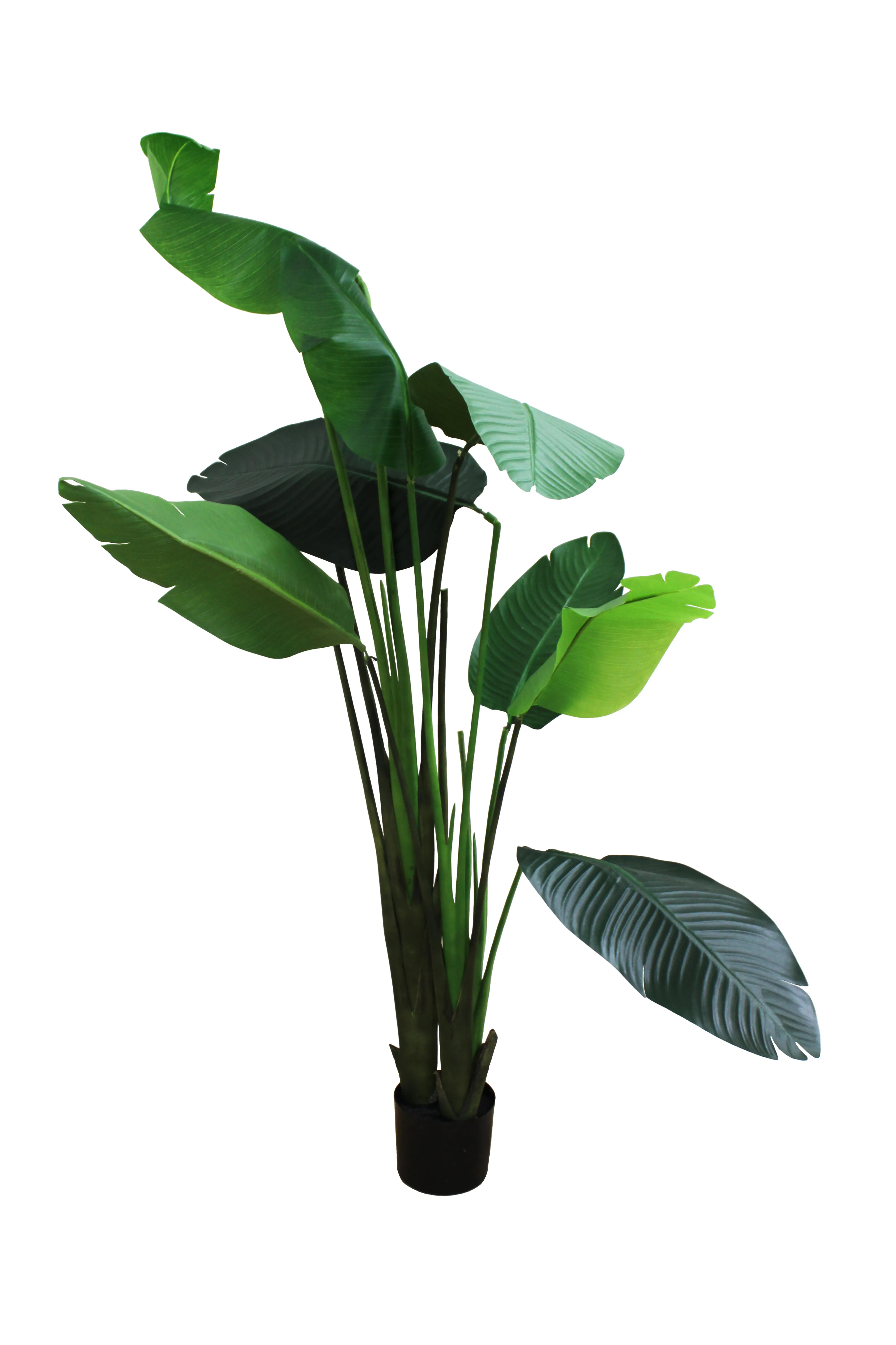 Banana Leaf Floor Plant 5' - FP12