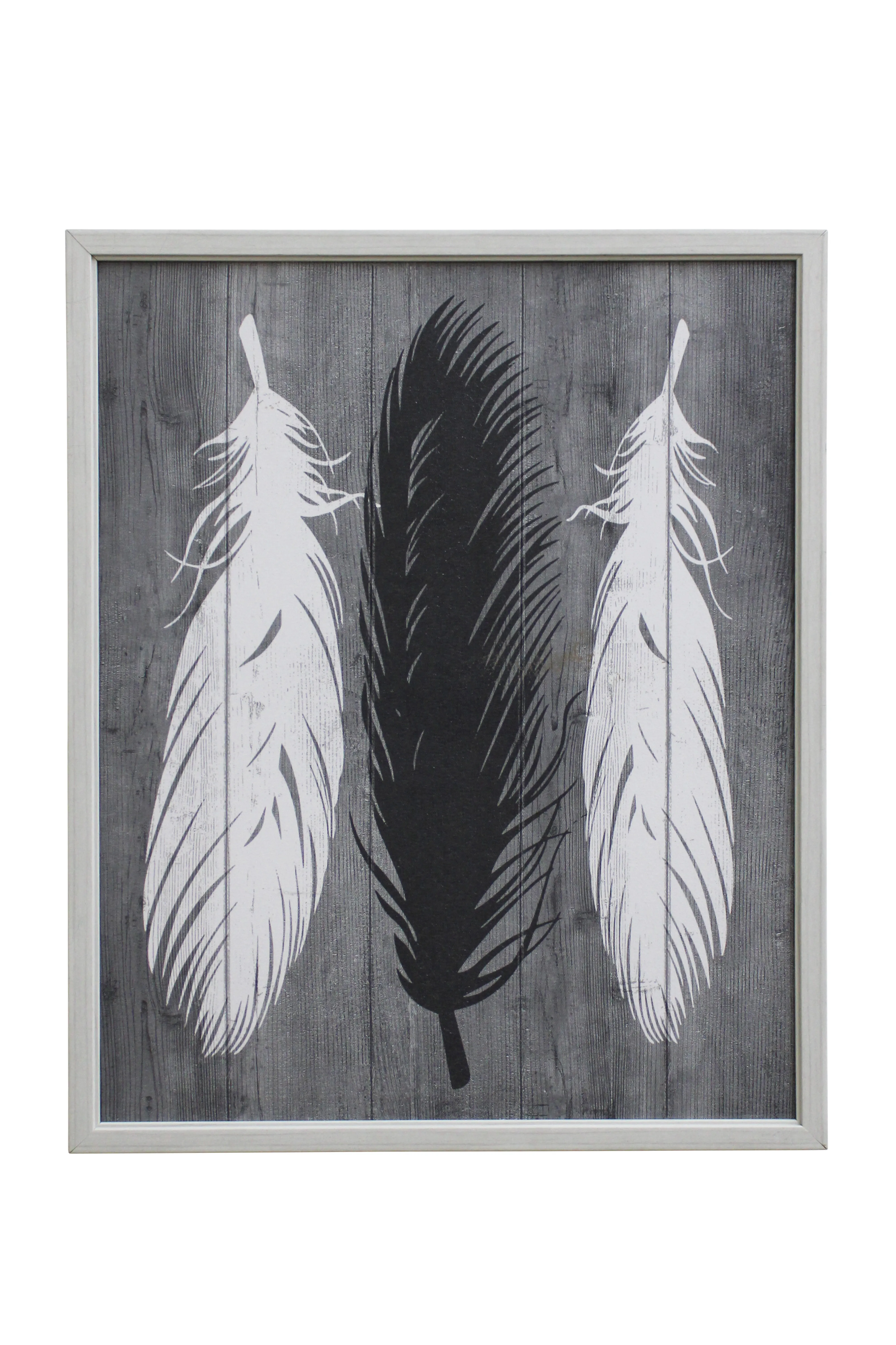 Monochrome Feather Display Artwork - AW1128