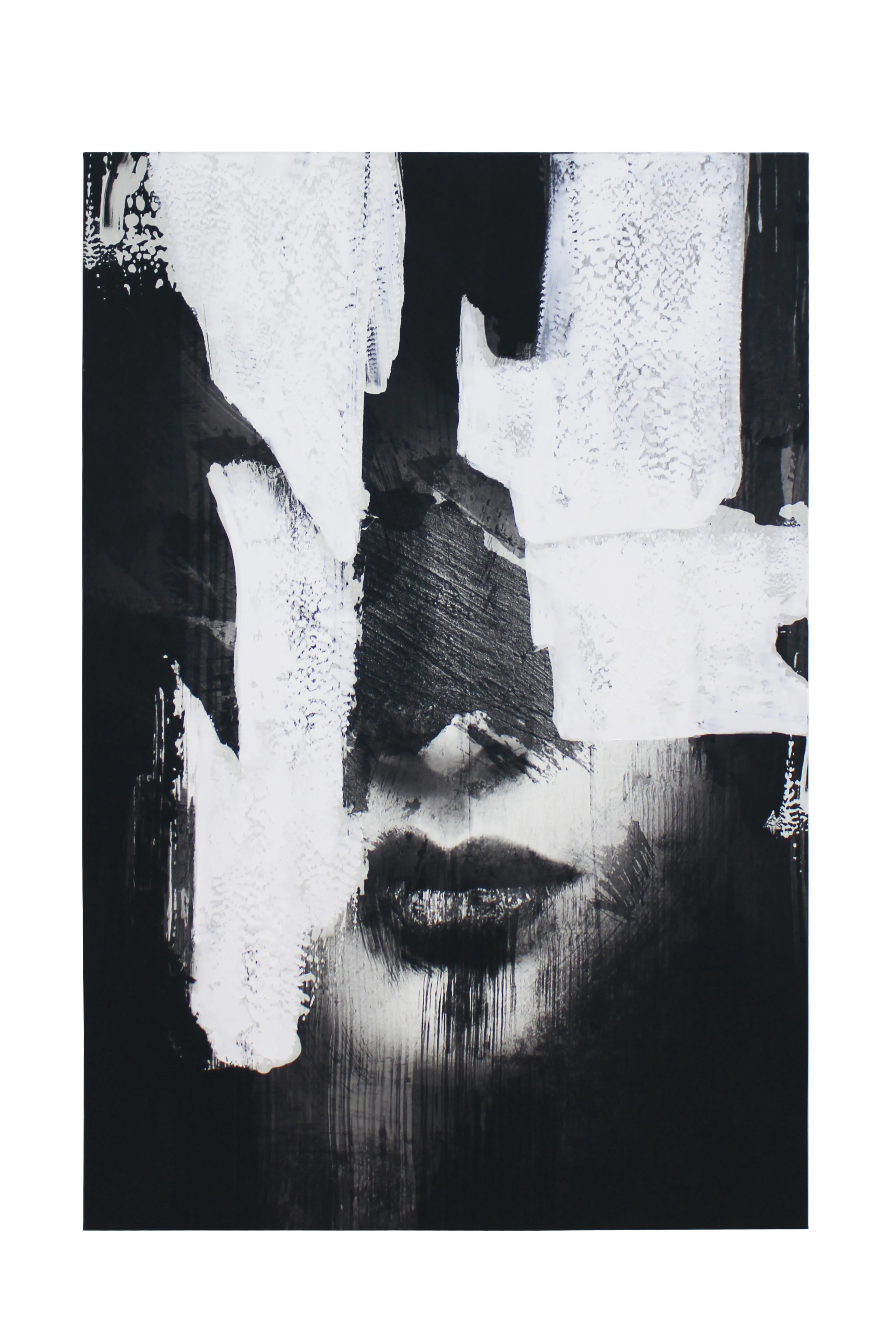 Veiled Portrait Artwork - CAW231