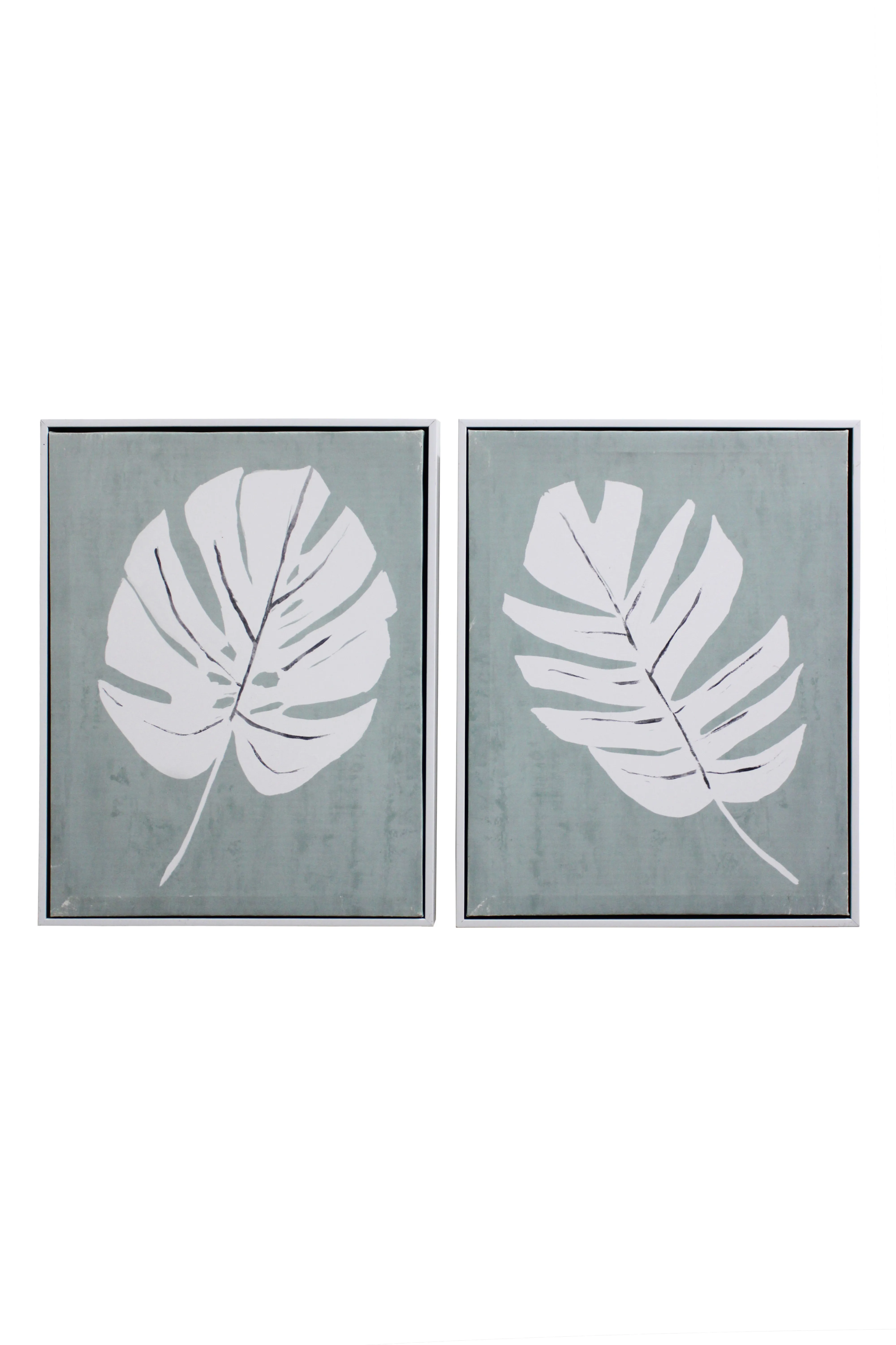 Botanical Leaf Artwork Set - BAW376