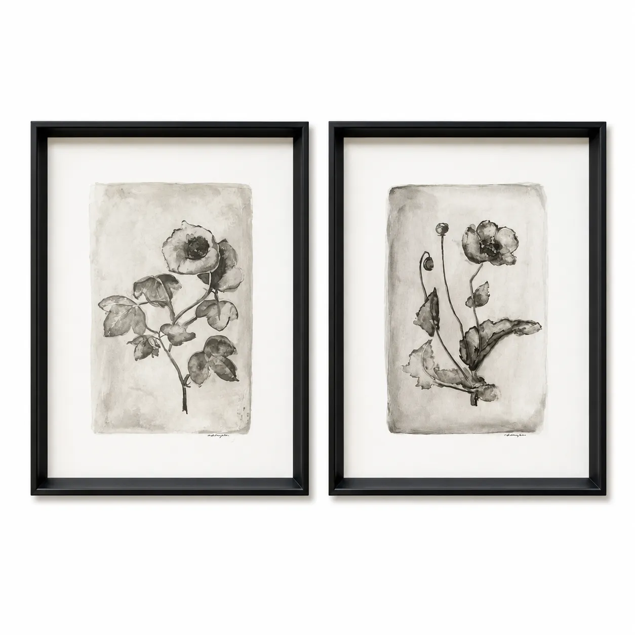 Botanical Sketches Set- BAW1292