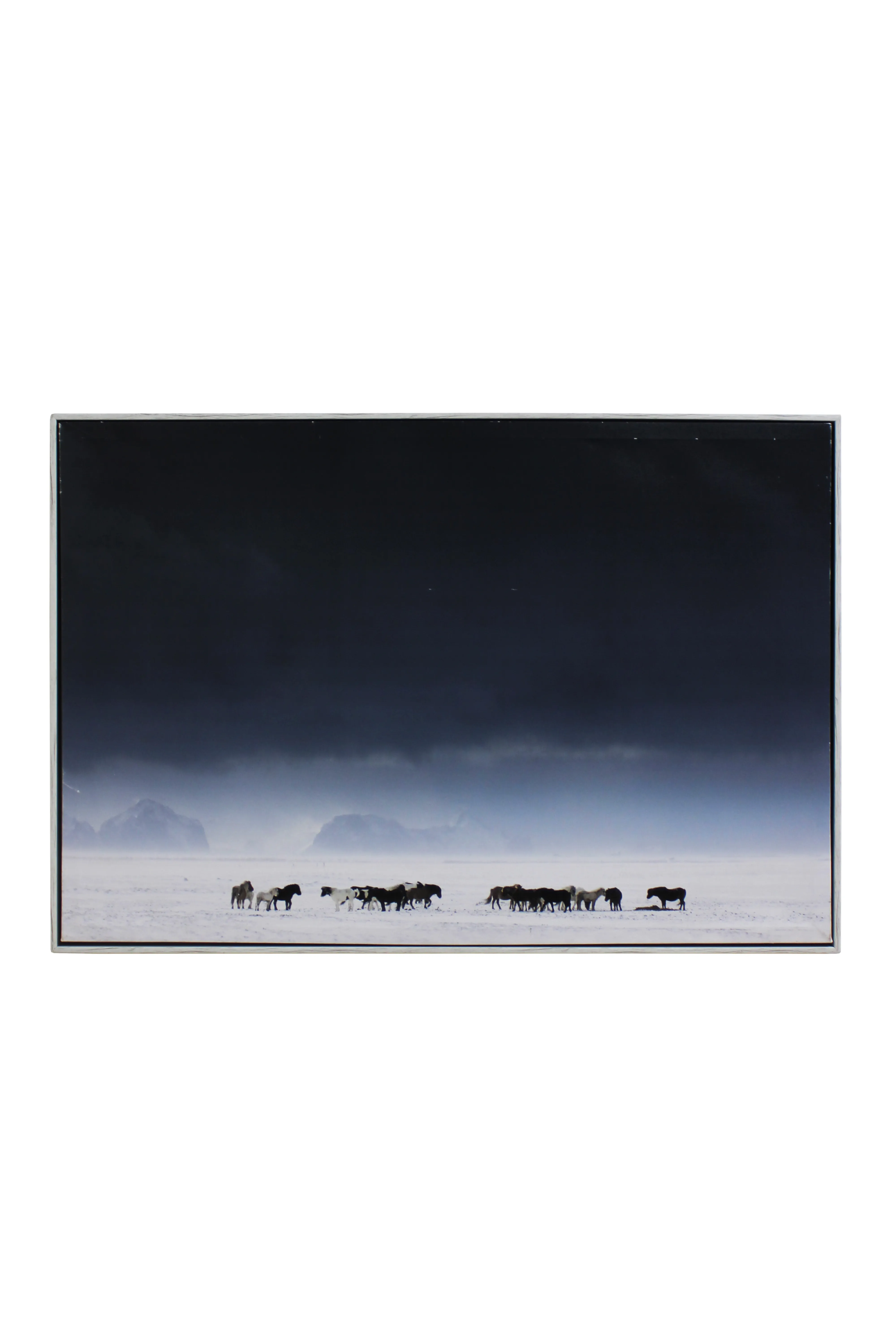 Arctic Wanderers Artwork - AW418