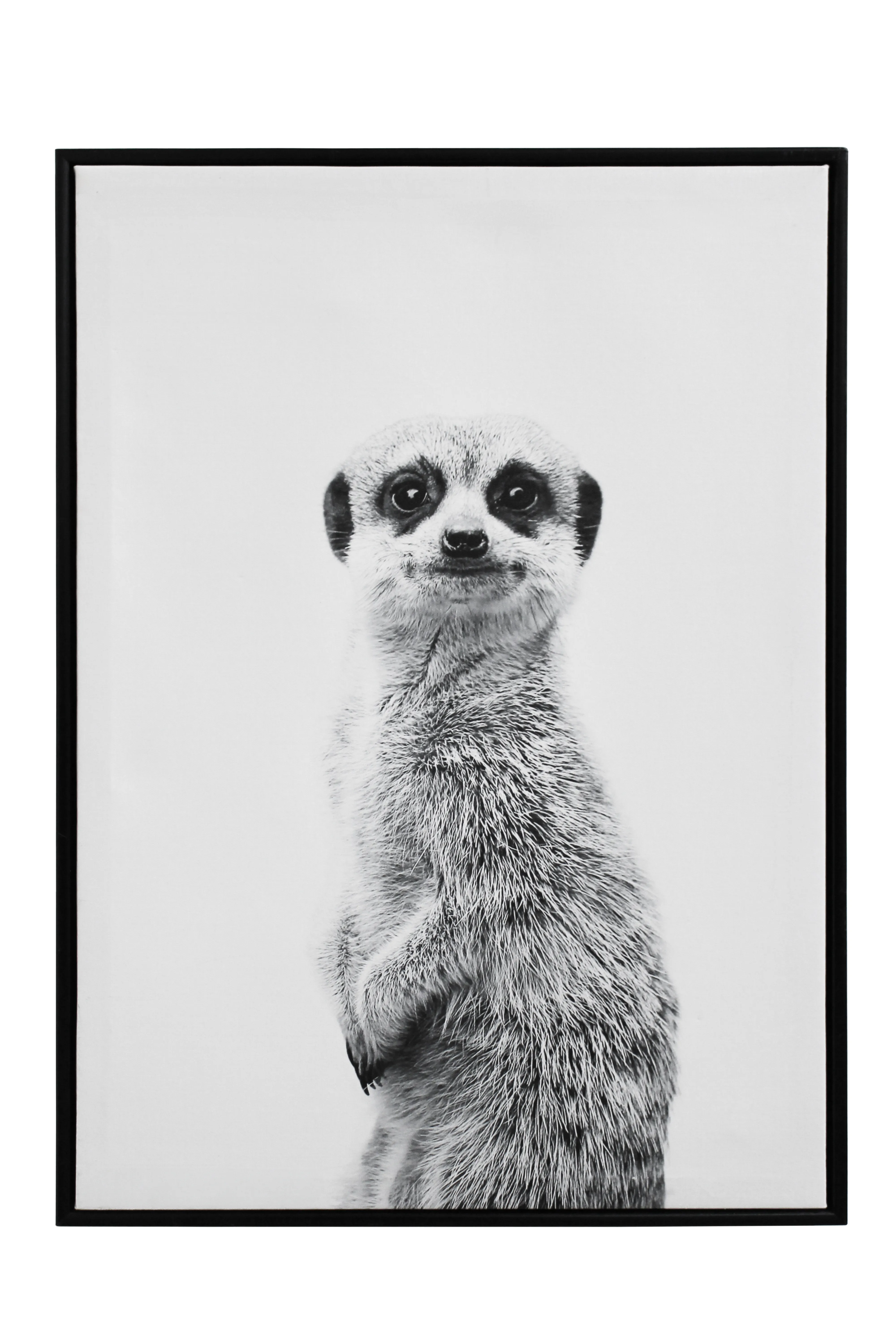 Curious Meerkat Kids Artwork - KAW68