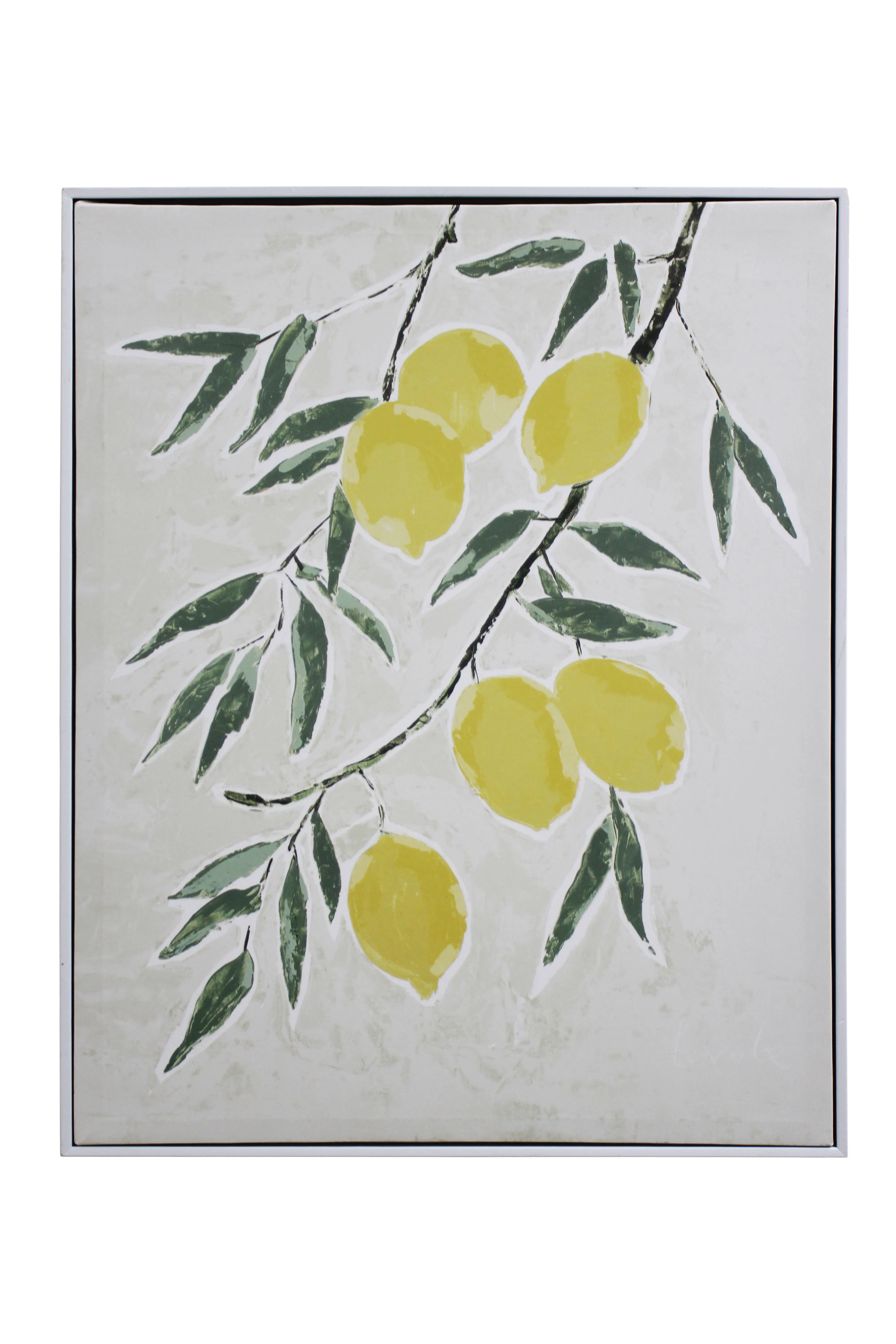 Citrus Bloom Artwork - AW277