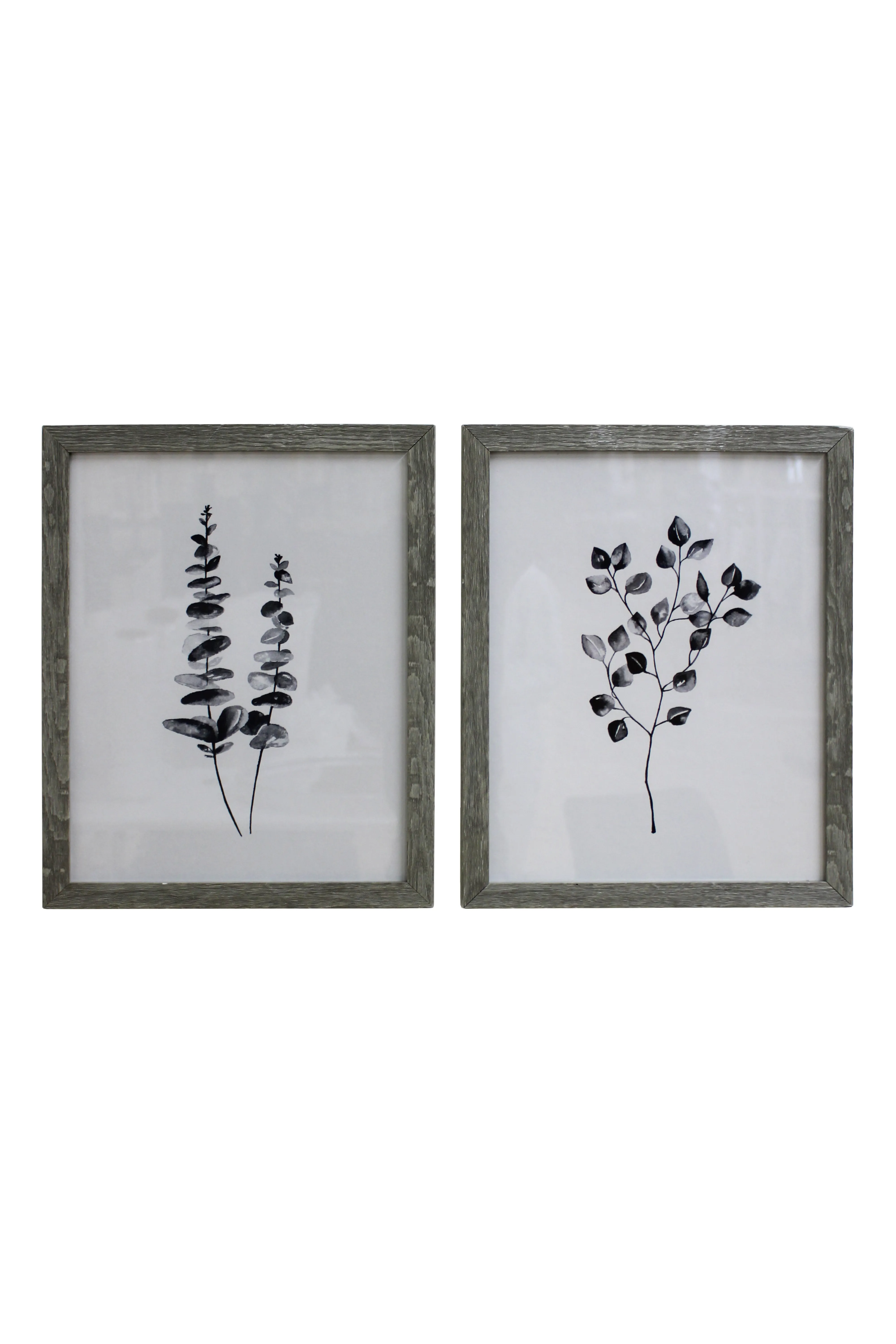 Monochrome Botanicals Artwork Set - BAW322