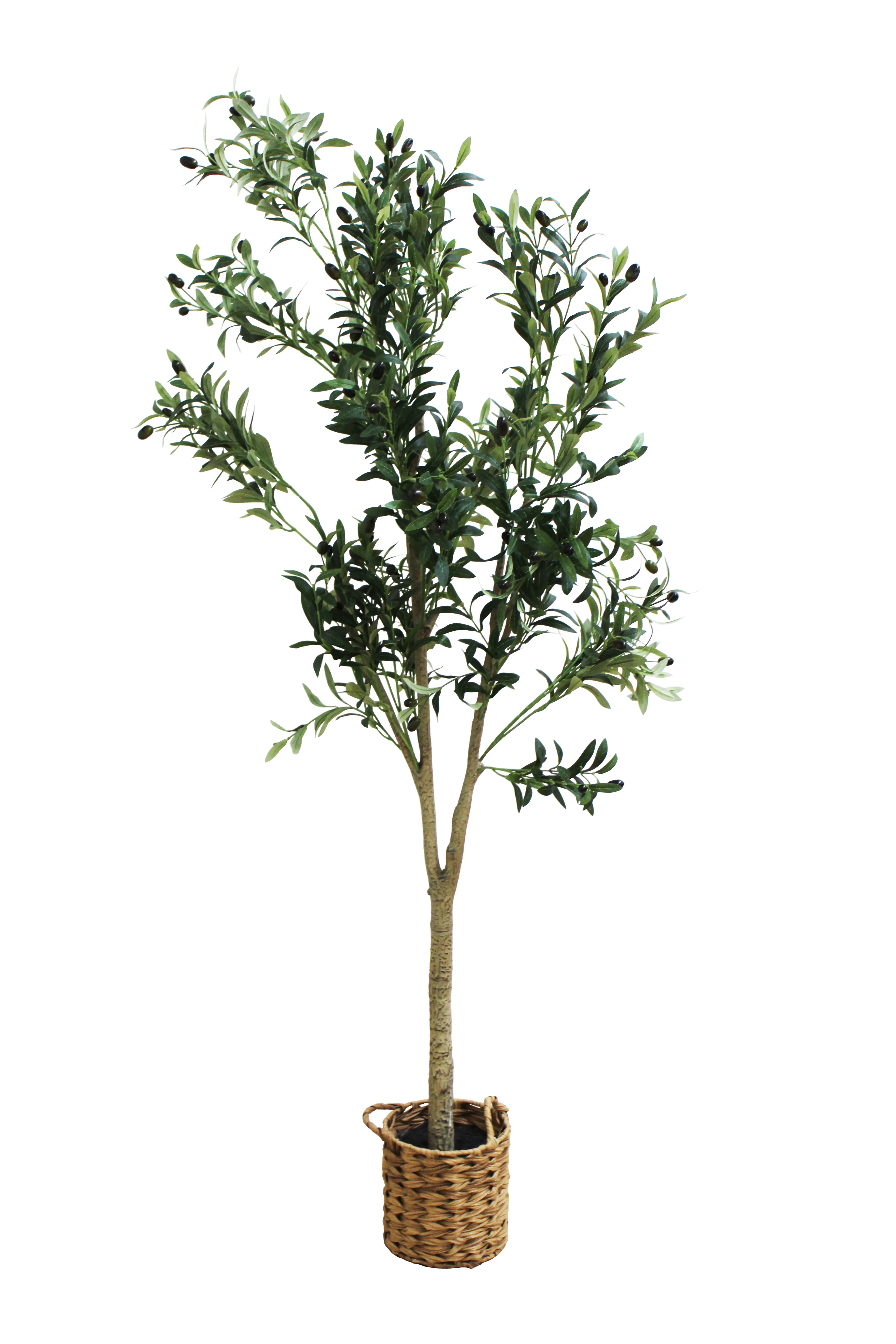 Olive Tree Floor Plant 6' - FP9