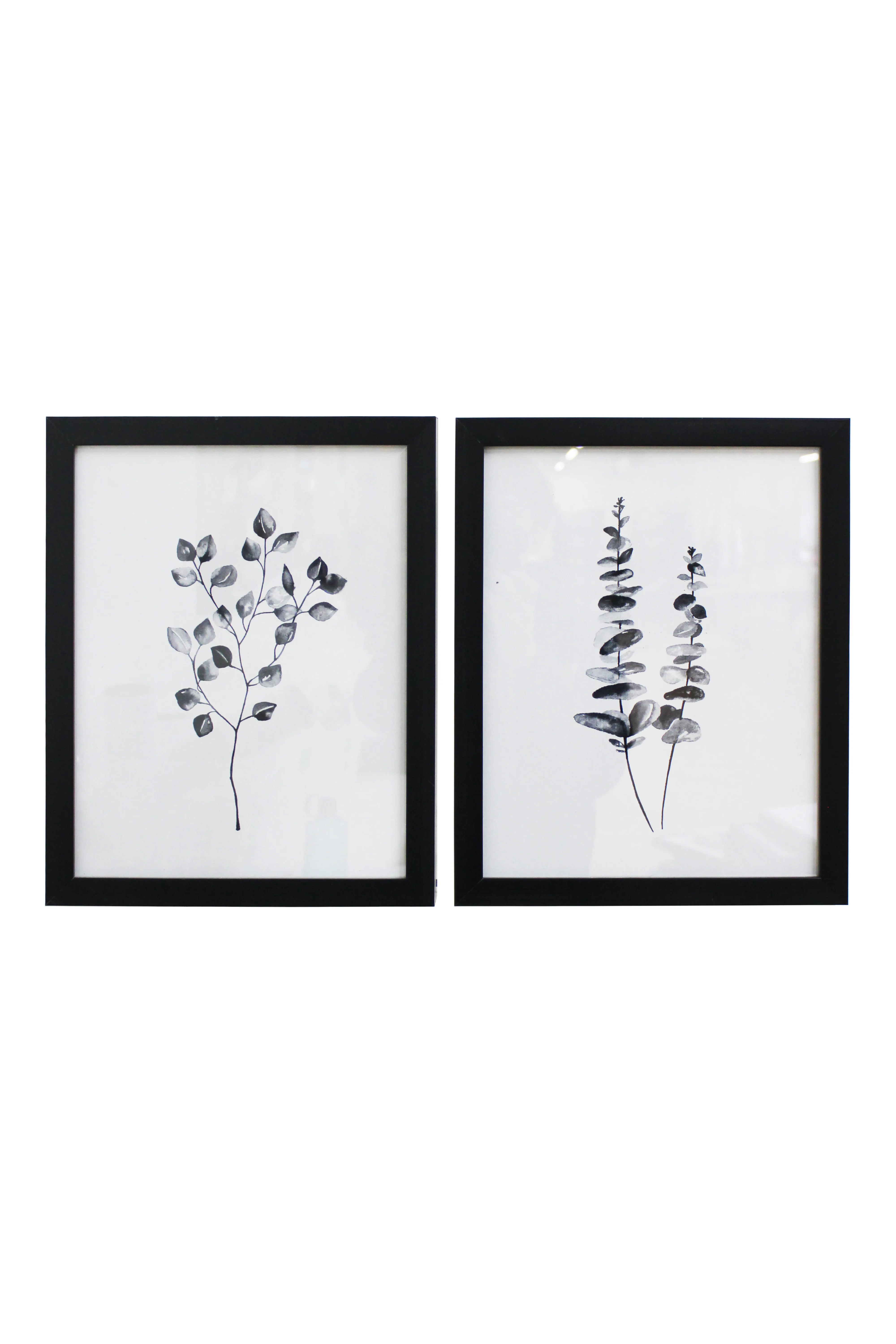 Black Botanical Artwork Set - BAW1234