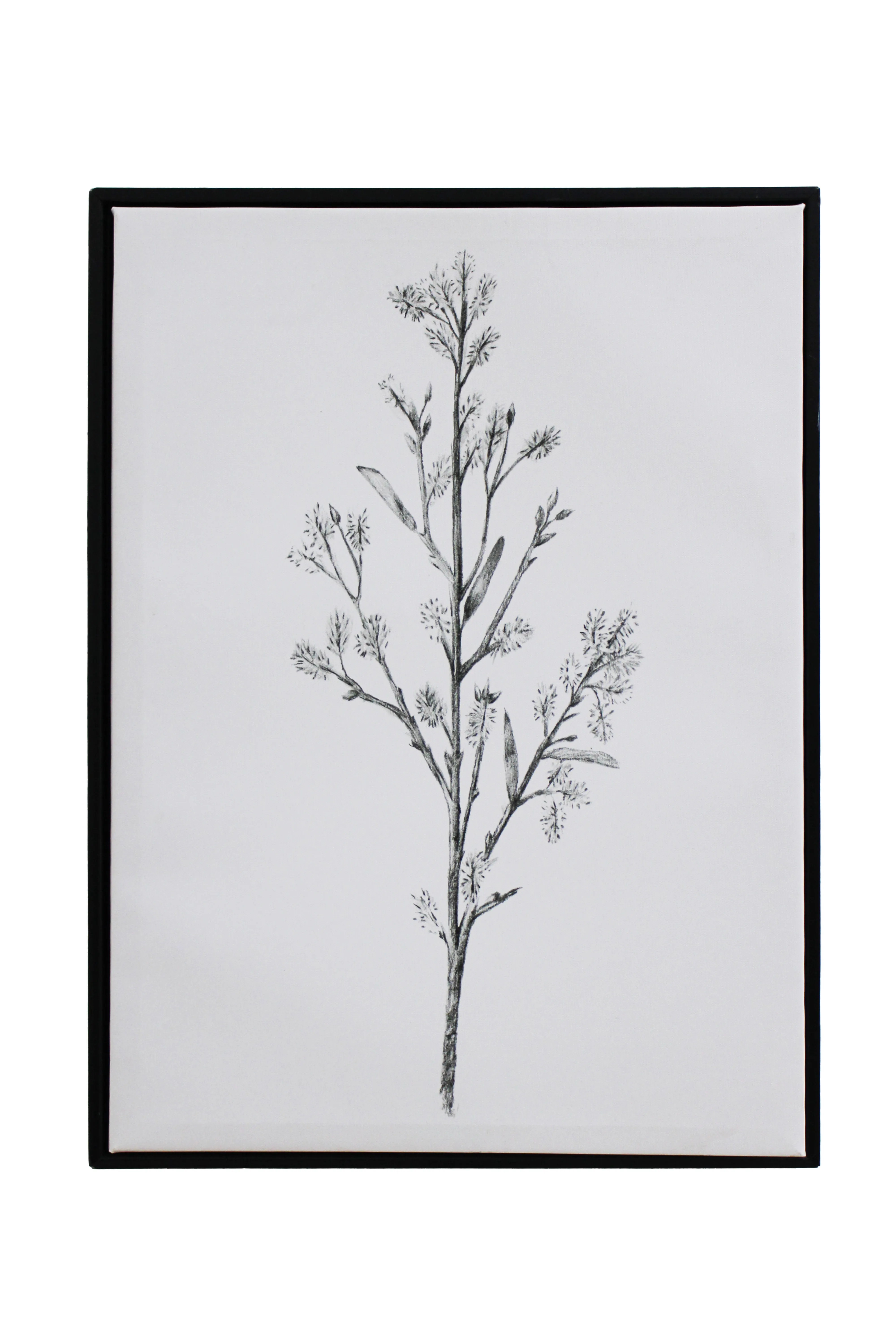 Botanical Grace Artwork - BAW18