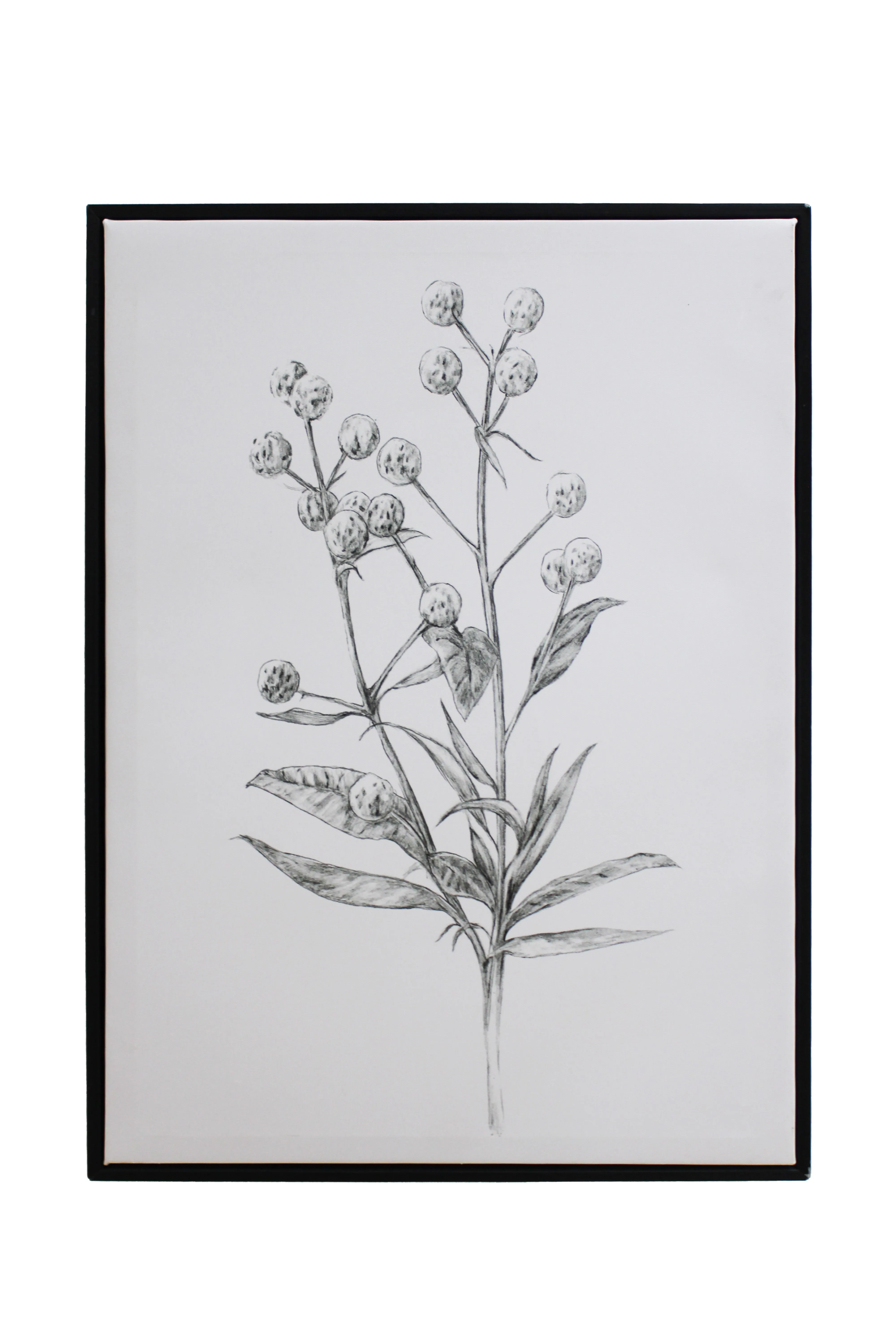 Natural Simplicity Artwork - BAW235