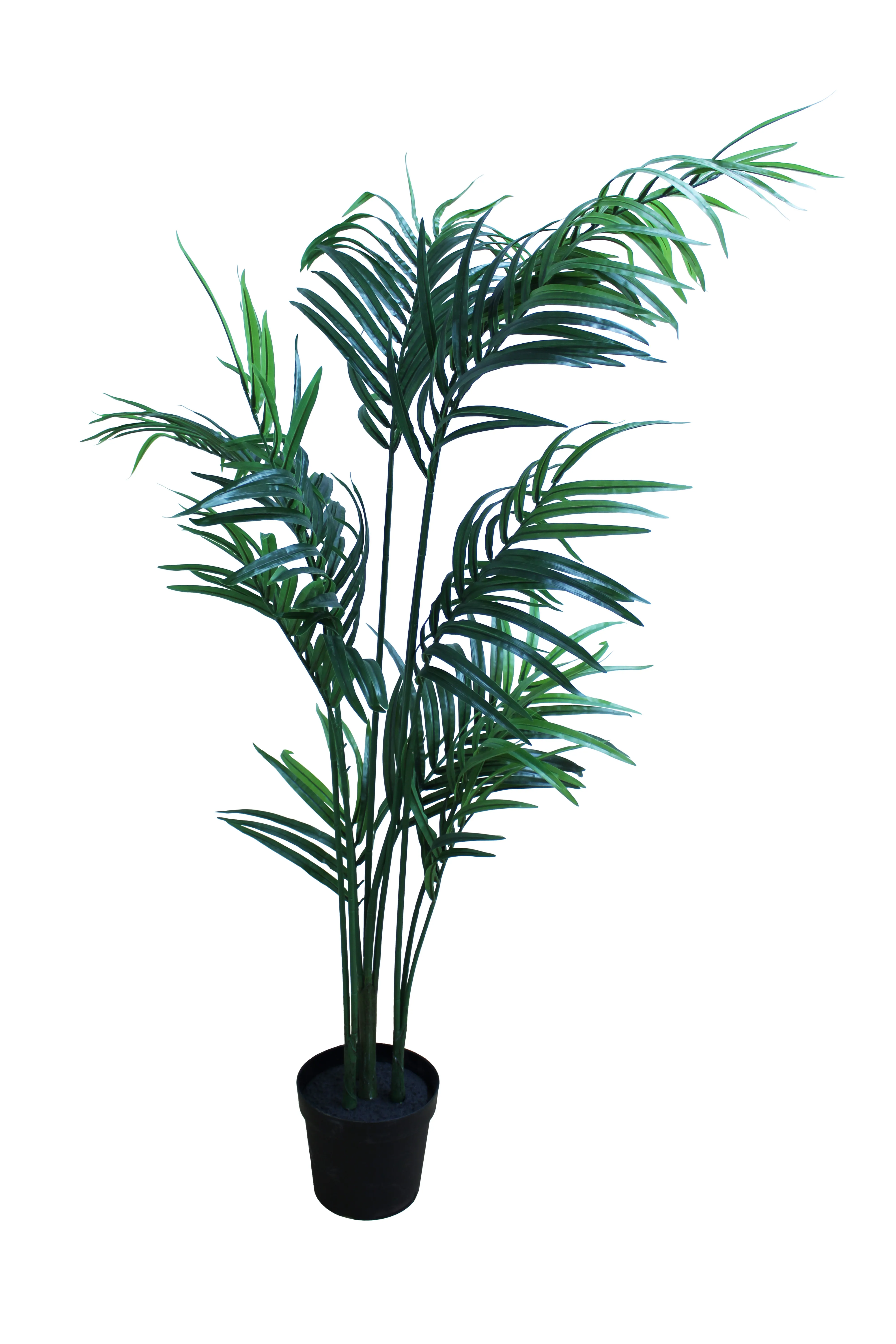 Areca Palm Floor Plant 5.5' - FP13