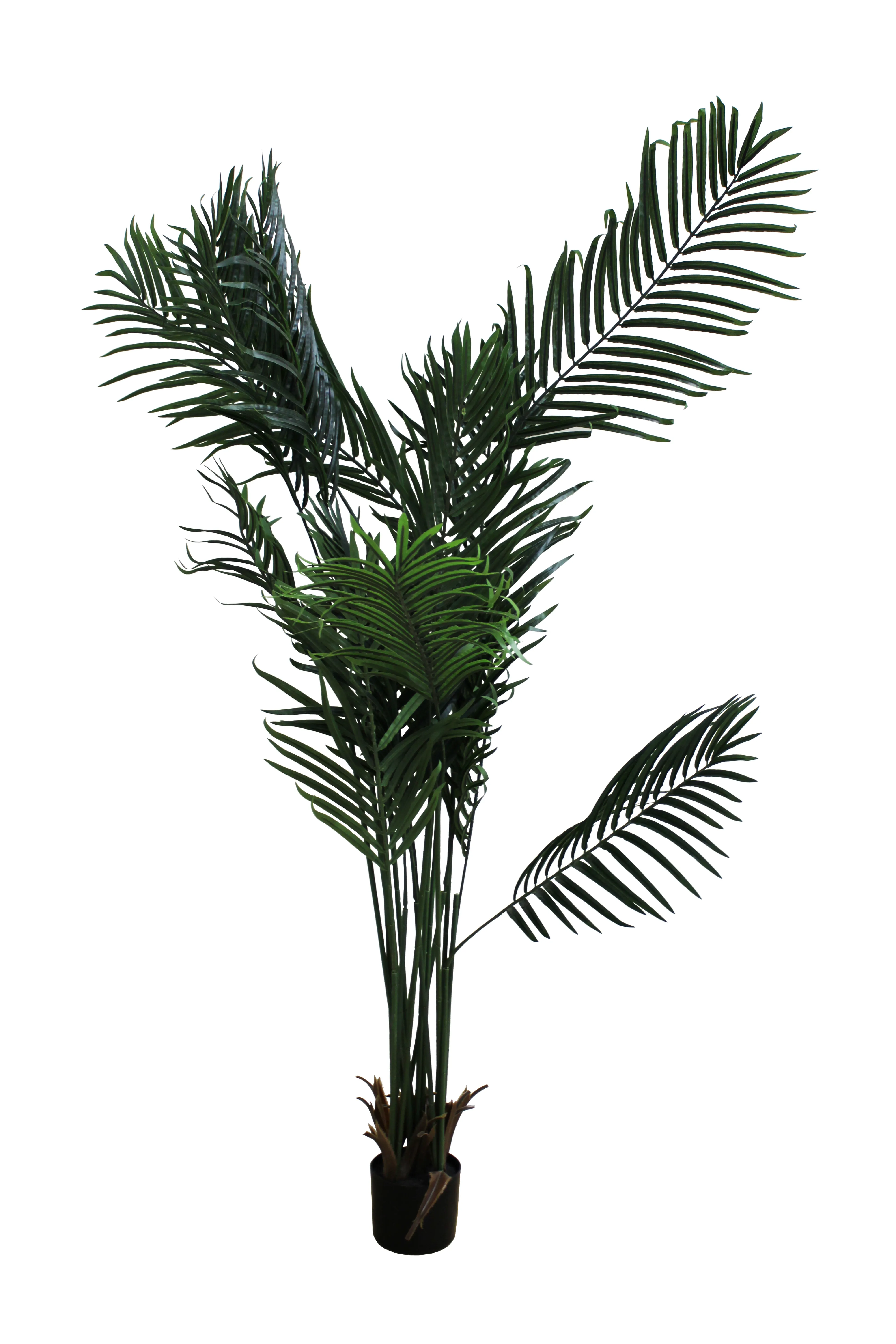Areca Palm Floor Plant 5.5' - FP11