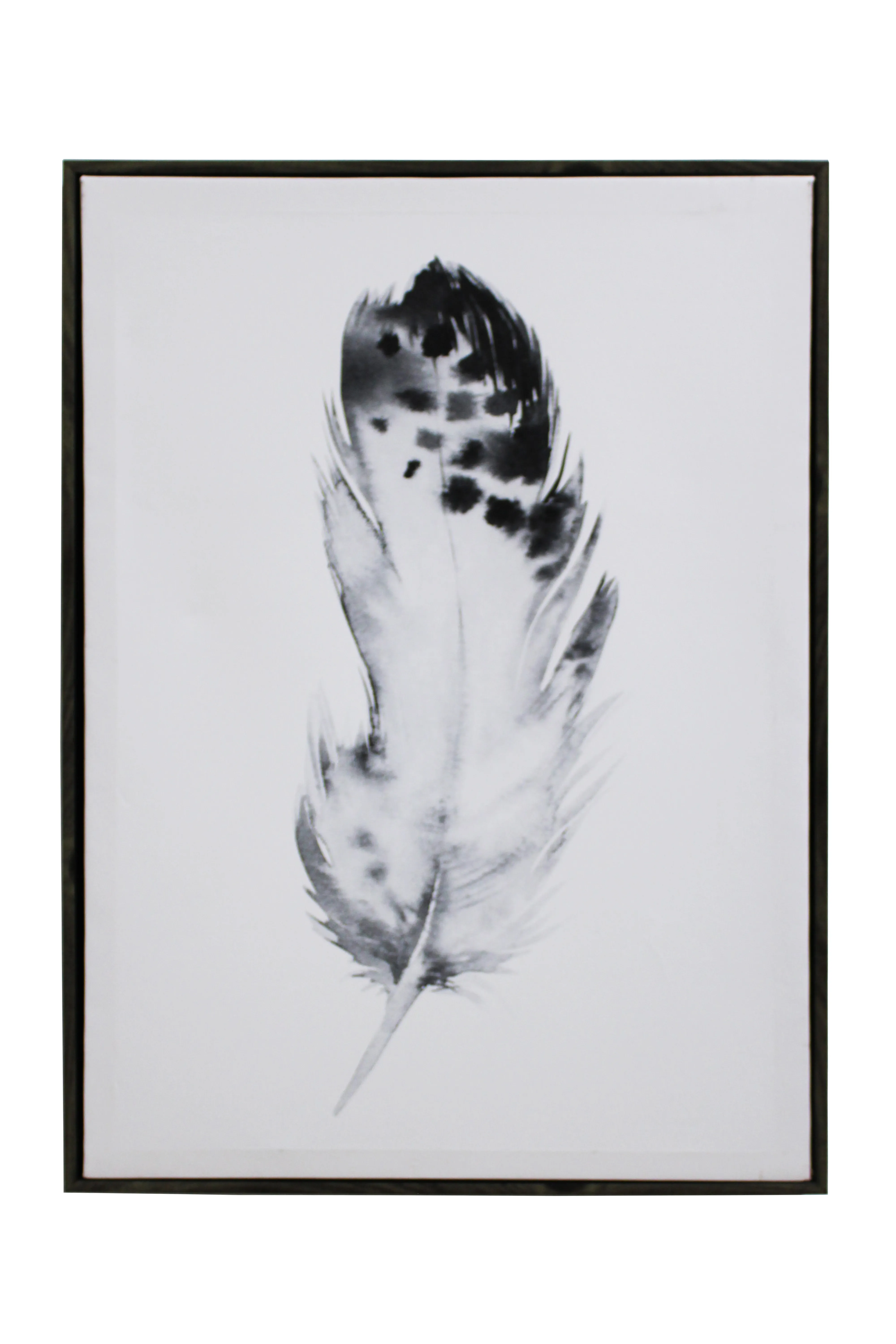 Speckled Feather Artwork - AW96