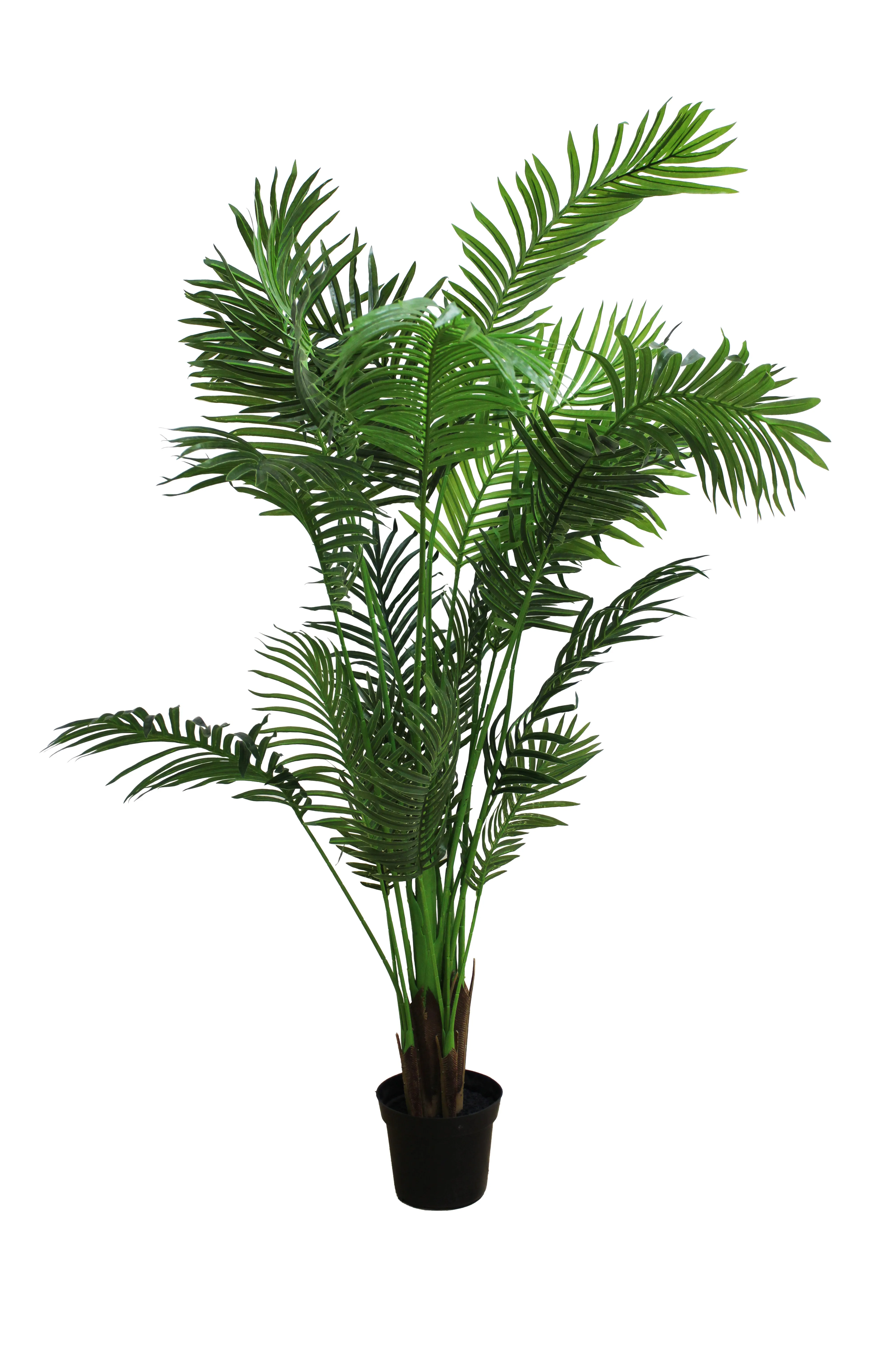 Areca Palm Floor Plant 5.5' - FP17