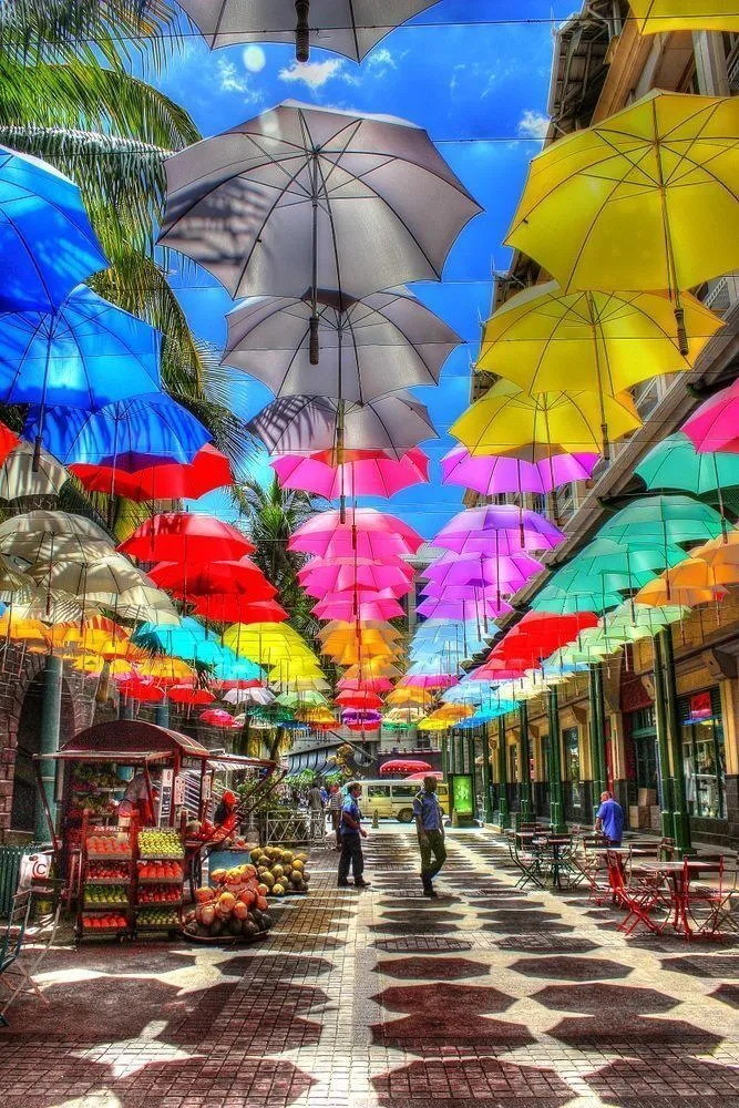 Exclusive North Tour: Port-Louis Capital Discovery with Tea Tasting