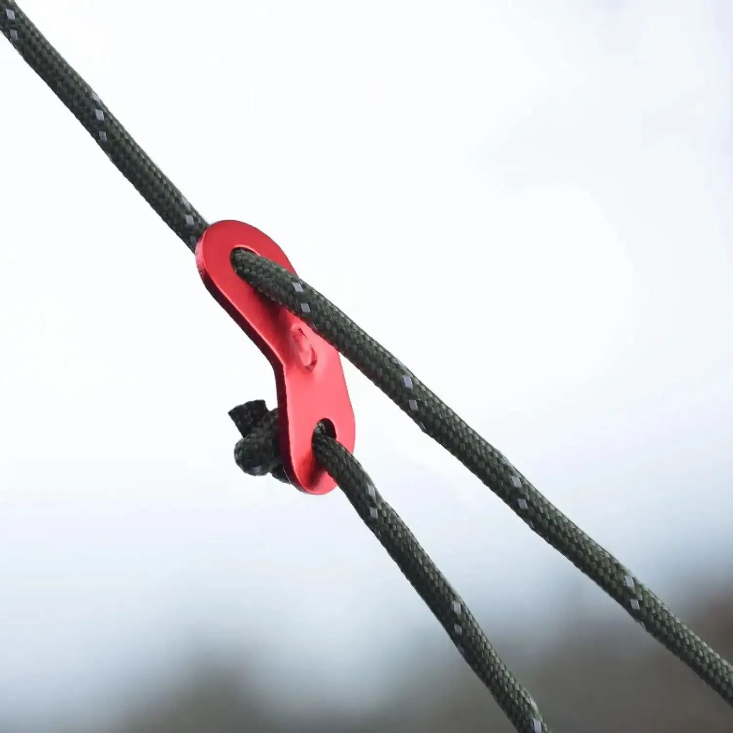 Guyline with tensioner and carabiners