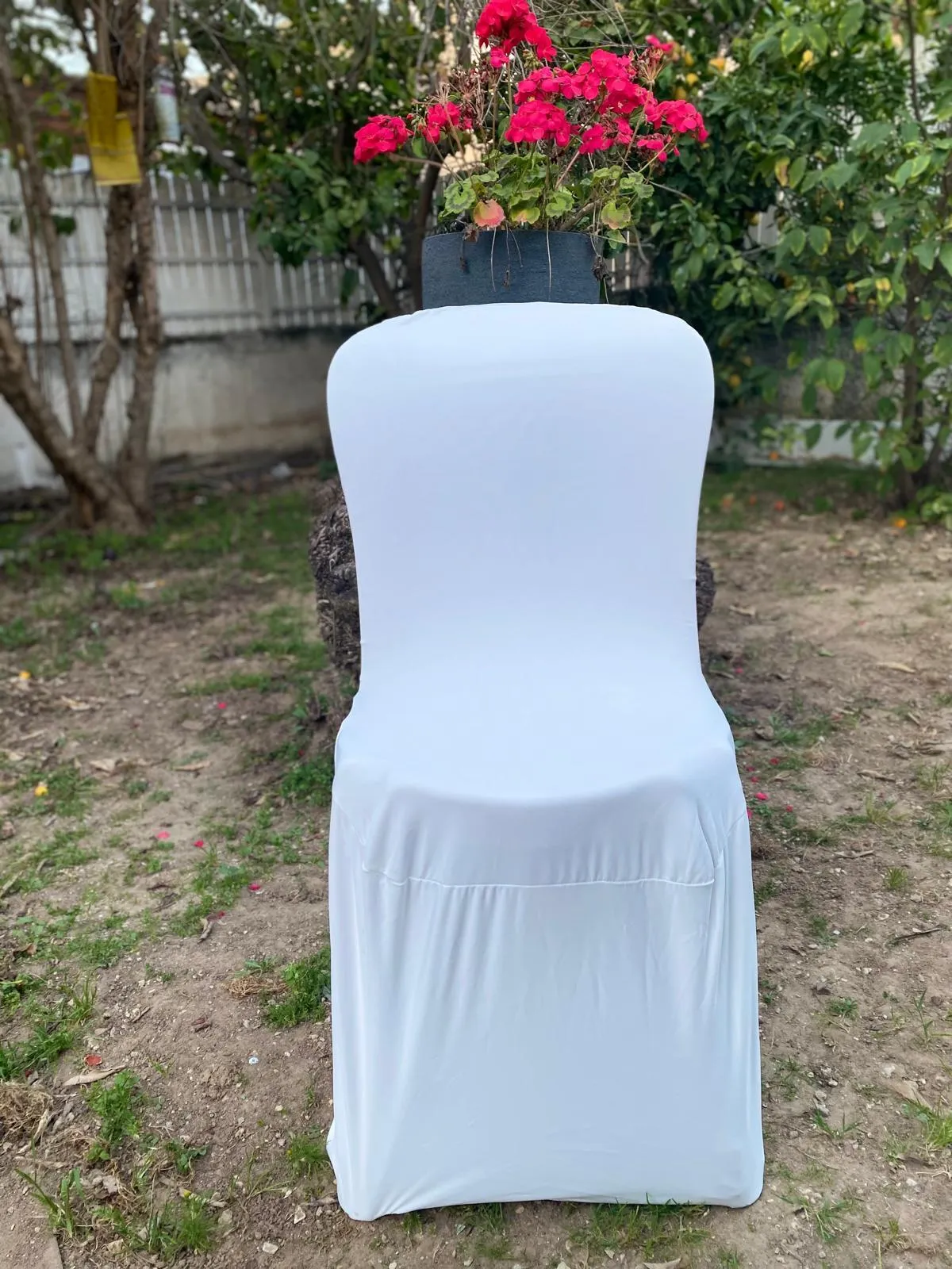 חבילת כיסוי כיסאות שמנת- 20 יחי' בחבילה