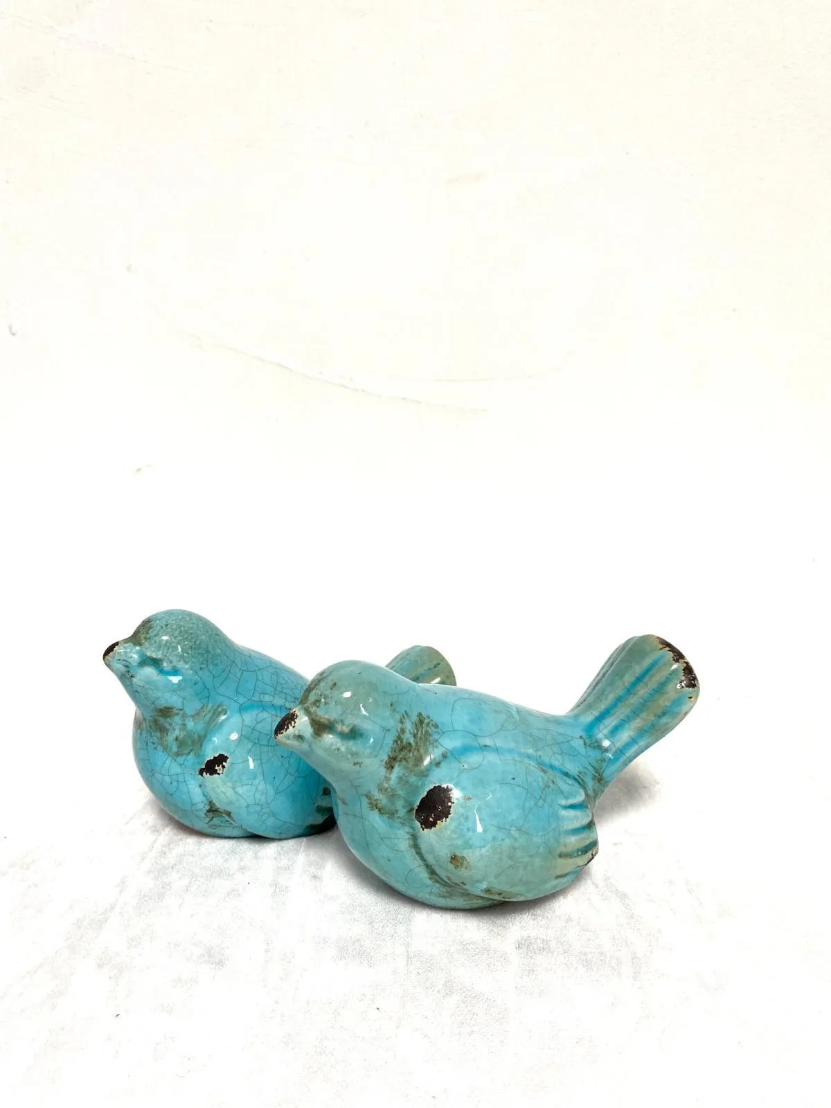 ציפורים זוג תכלת 2