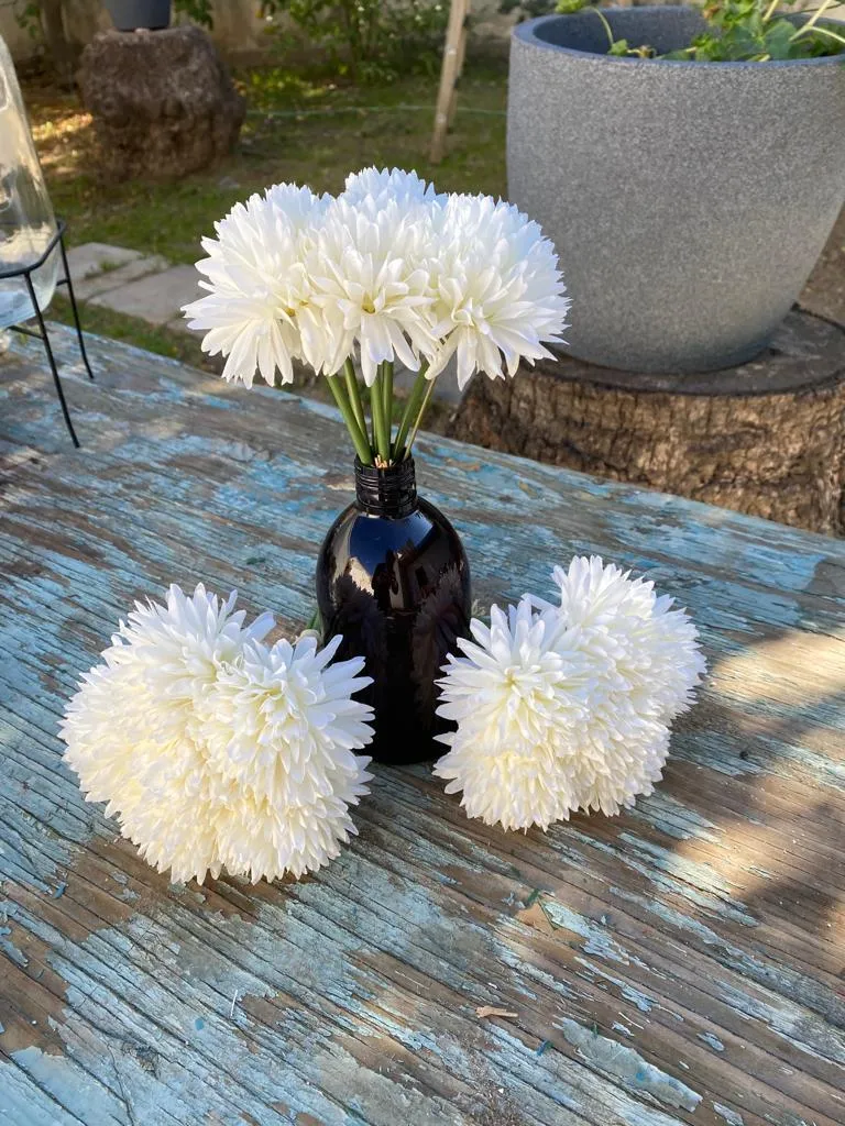 פרח בודד לבן - שן הארי