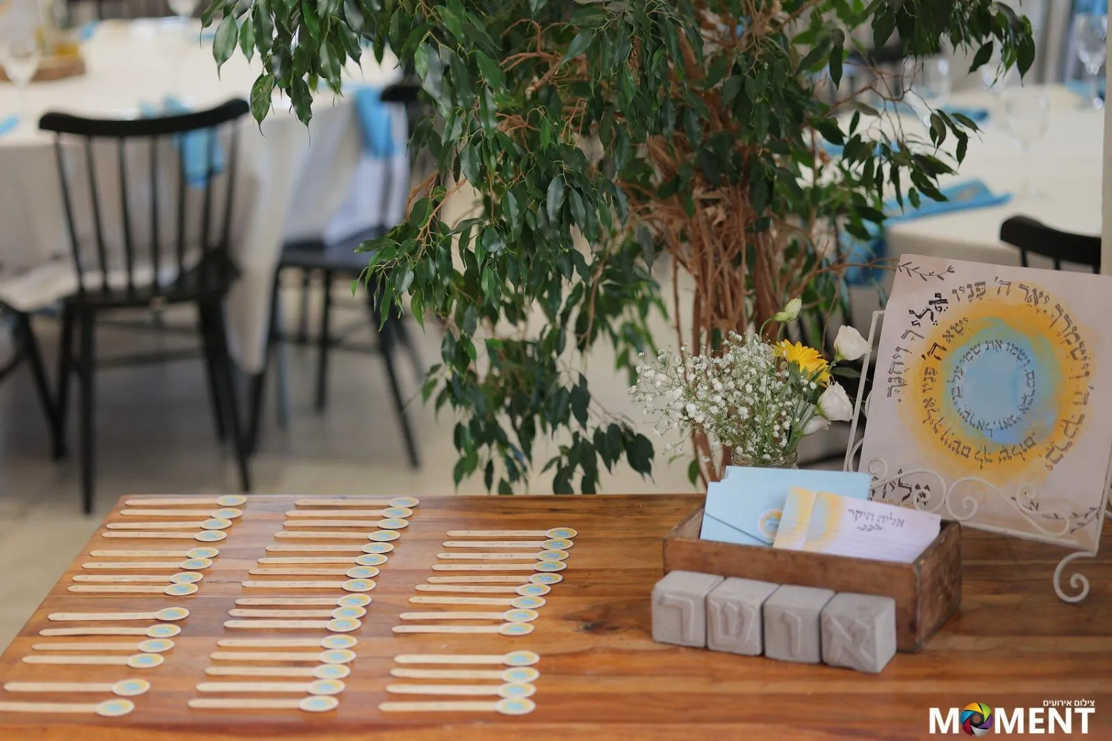 עריכה כניסה