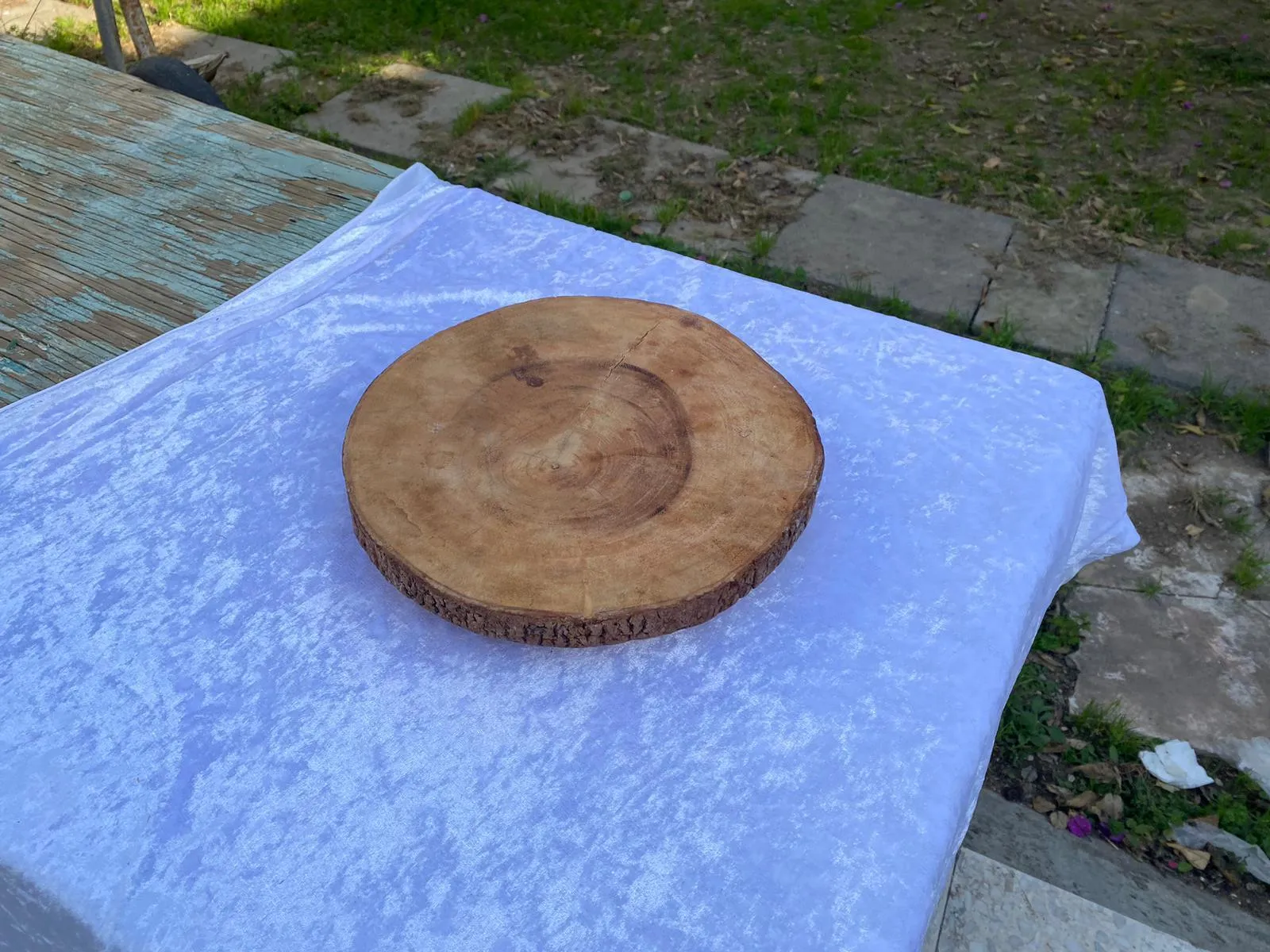 תחתית עץ גדולה