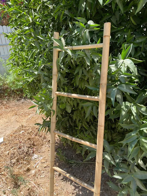 סולם עץ במבוק