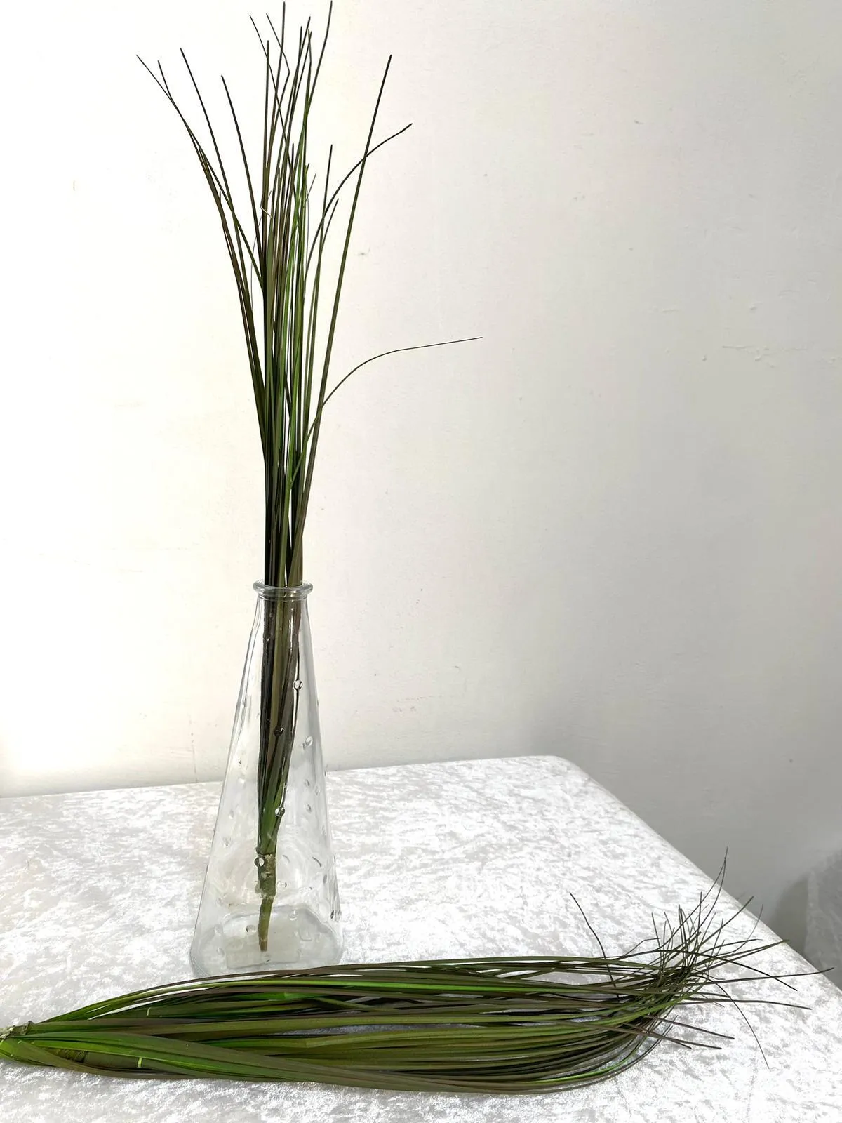 מקבץ עלים ירוקים