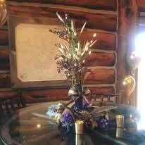 Mixture of  Various Feathers  and light up Willow Branches