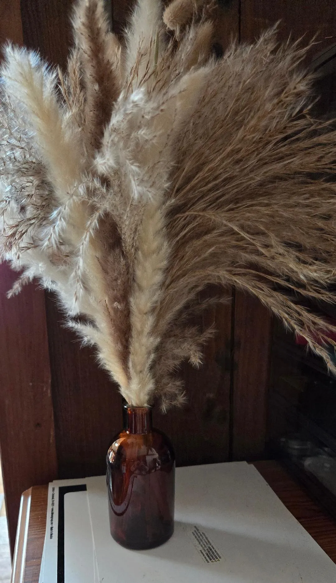 Pampass Grass Centerpiece in Dark Brown Bottle