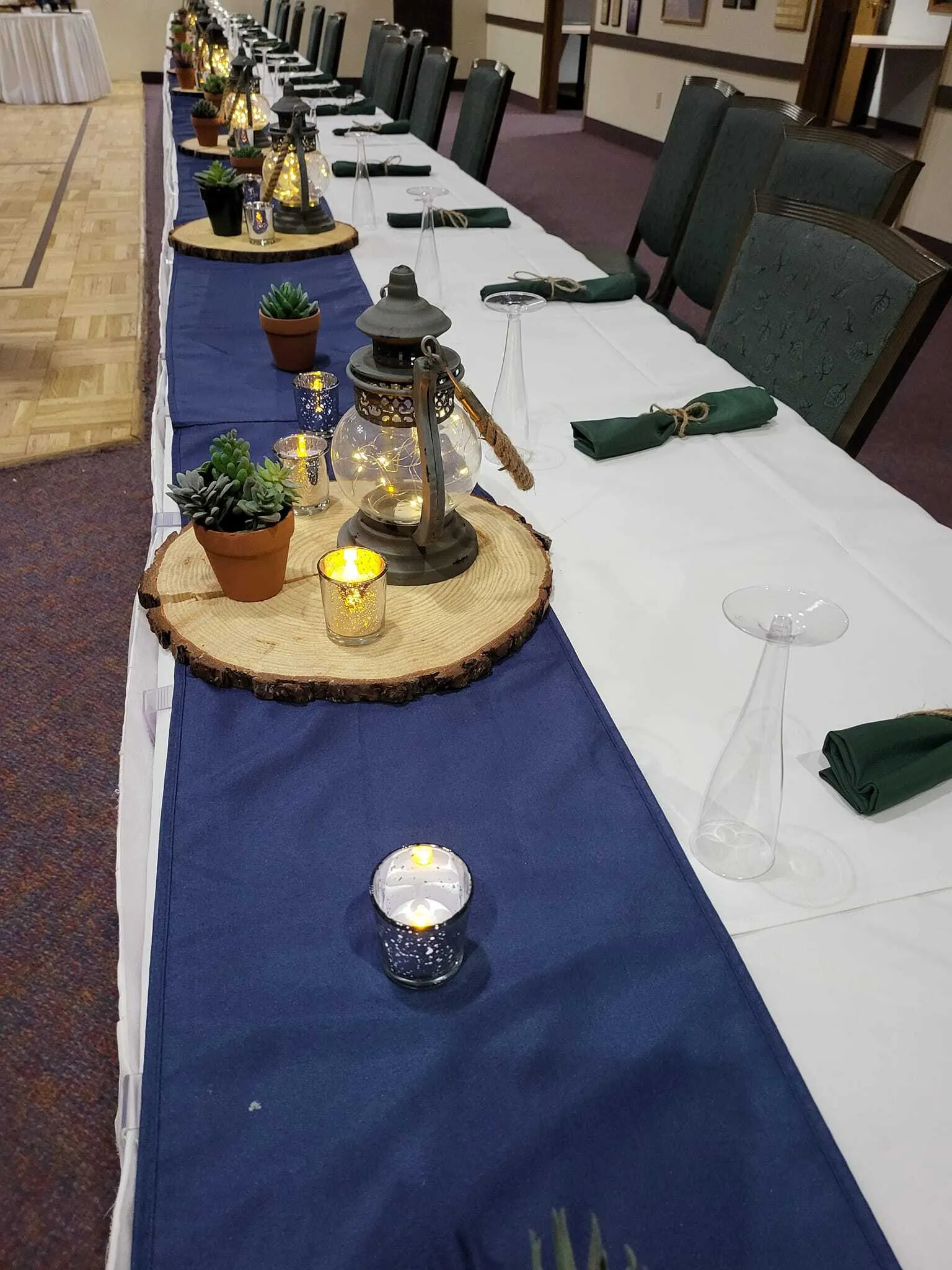 Succulents in a clay pot