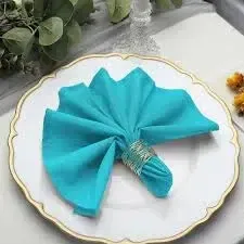 Turquoise Polyester Napkins 20 X 20 Inches 