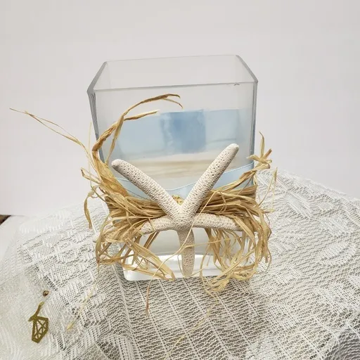 Seashell Clear Vases