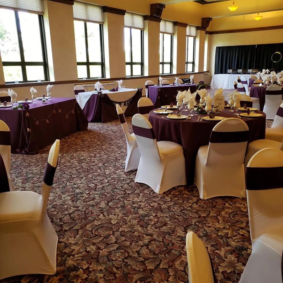 Purple Spandex Chair Bands