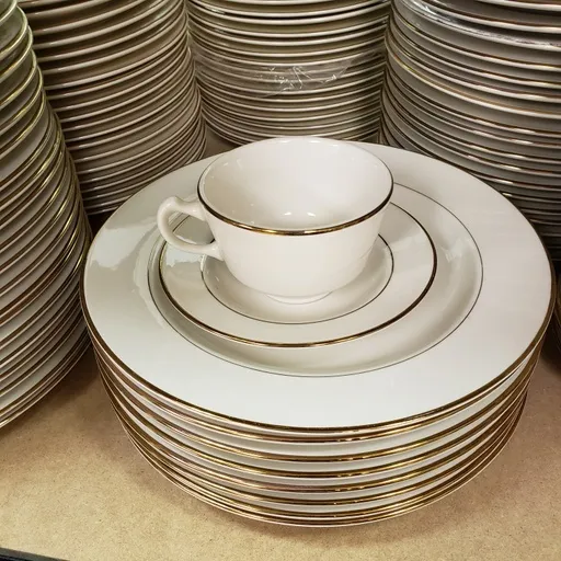 Ivory with gold trim 10 Inch plates