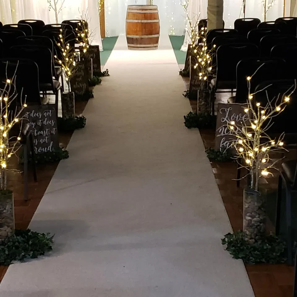 Battery Operated Light Up Branches