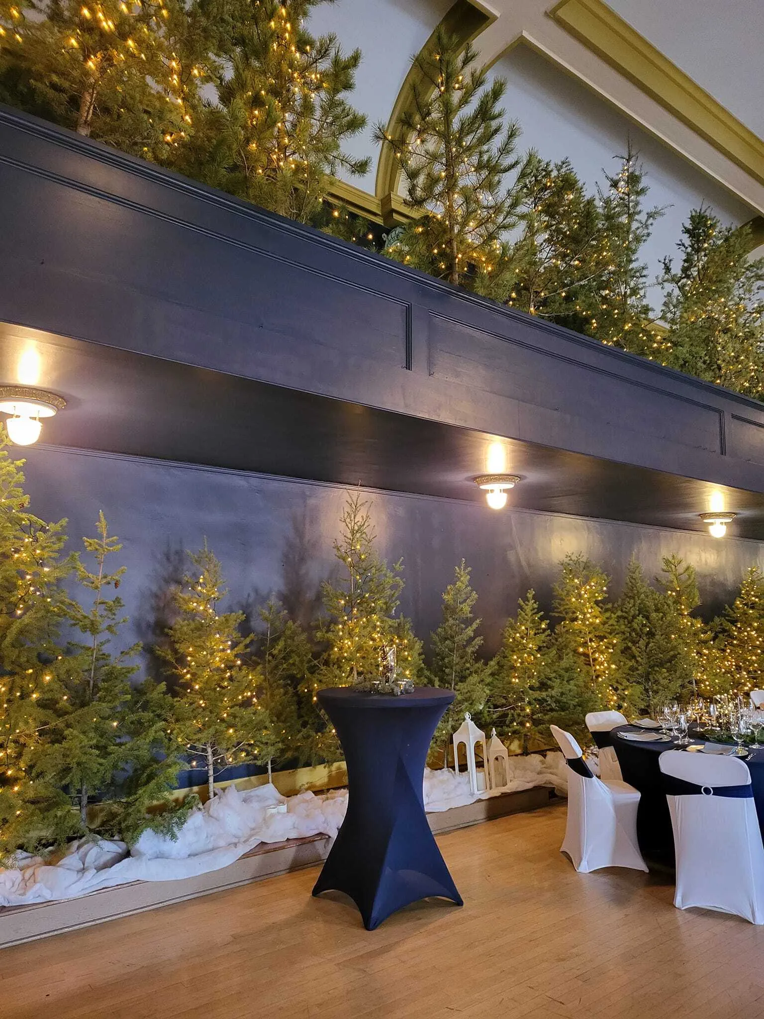 Navy Buddy Bar Spandex Tablecloths