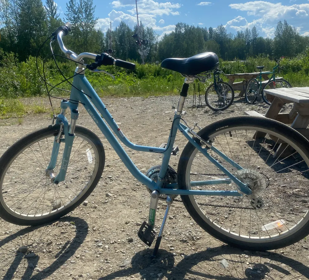 Cruiser Bike