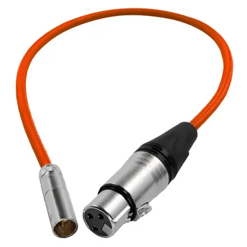 Mini XLR to XLR Cable (30cm)