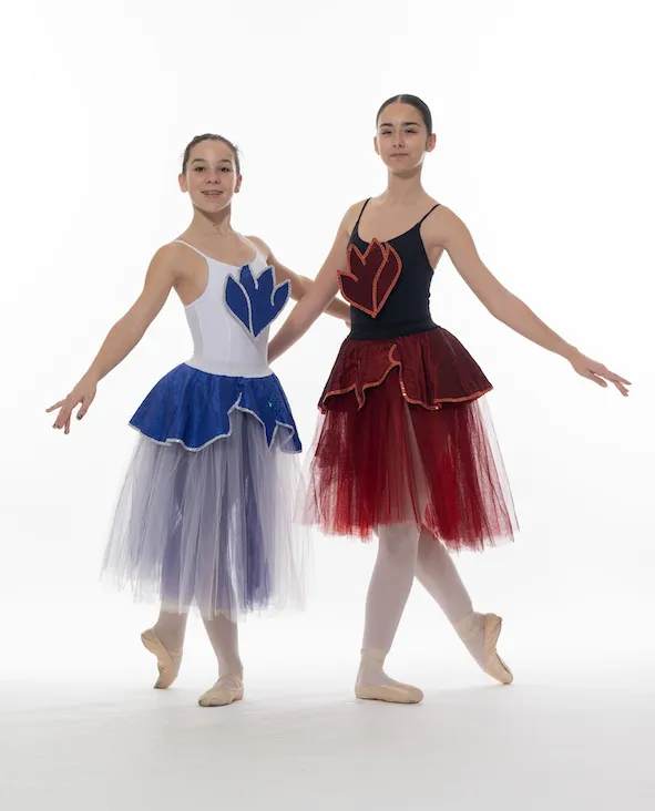 Jupe en Tulle avec Décoration Poitrine