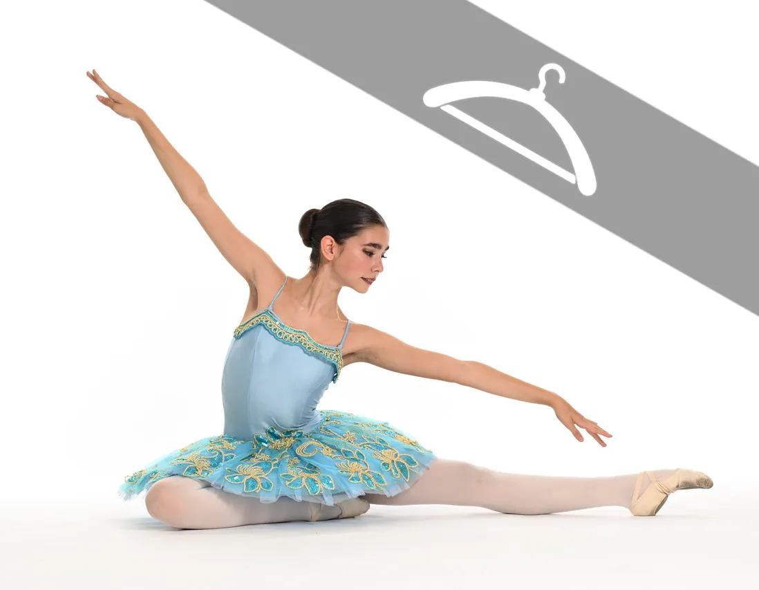 Tutu Plateau Décoration Dorée - Essayage