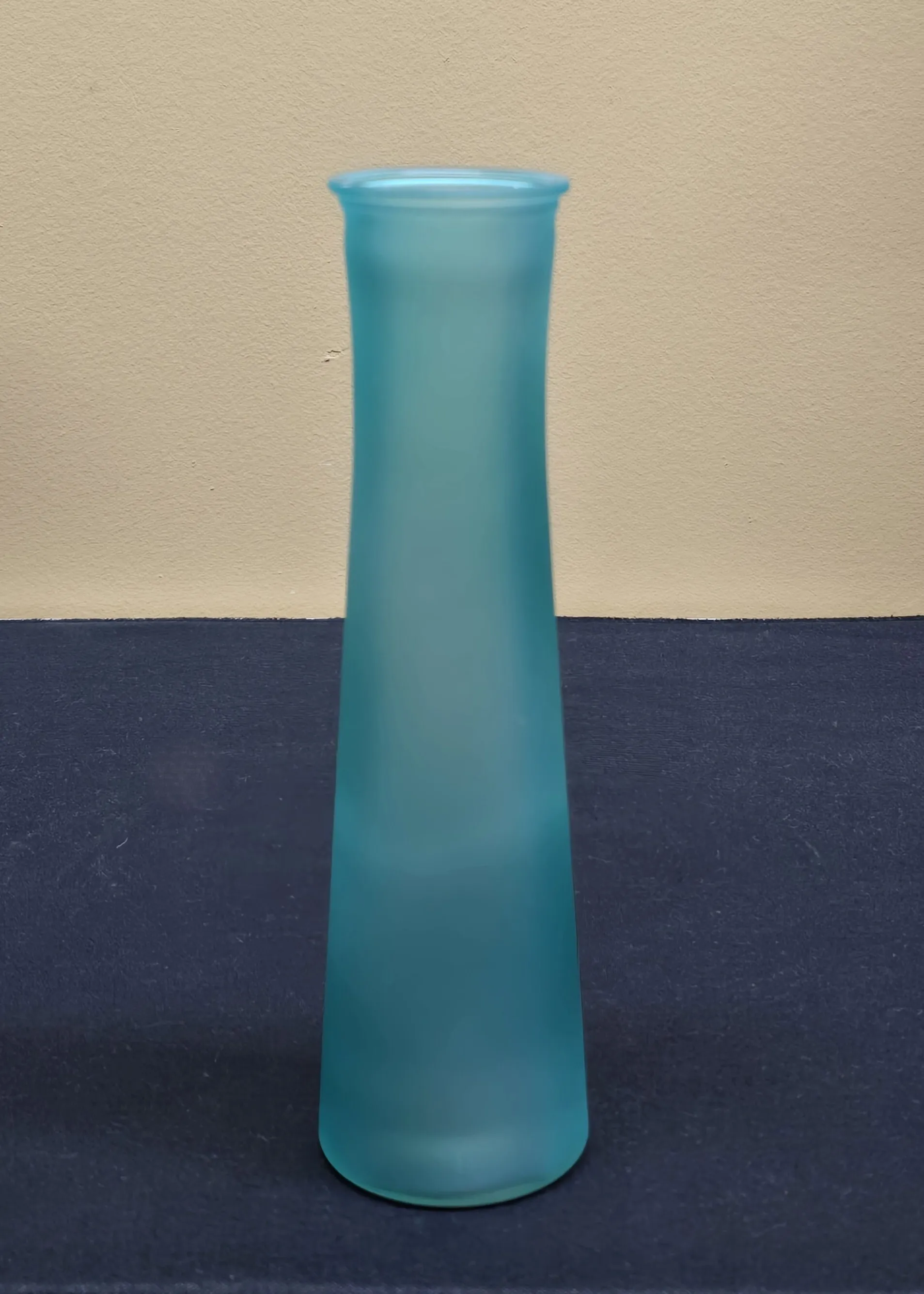 Slim Glass Vase - 9 inch