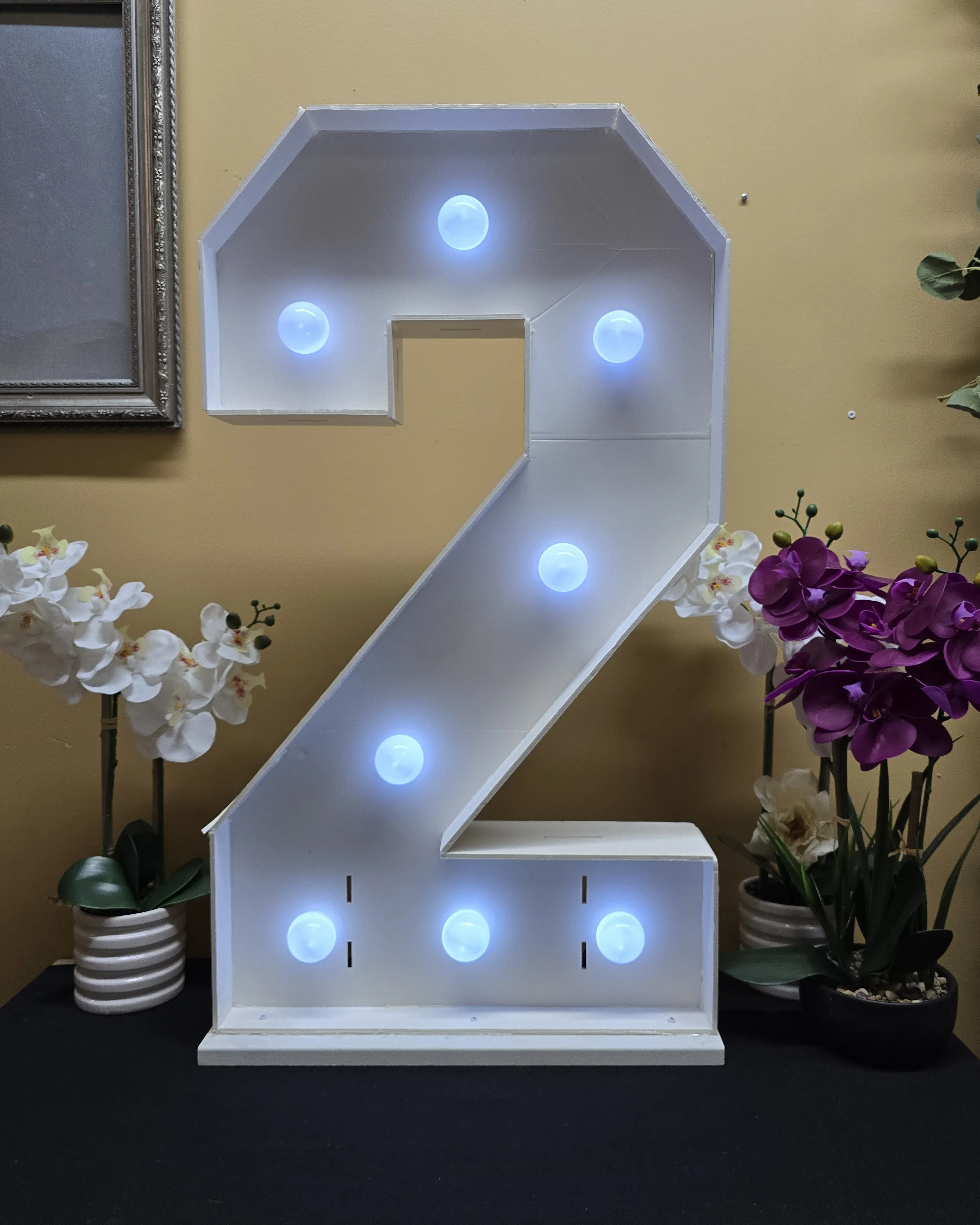 3 FT Lighted Numbers