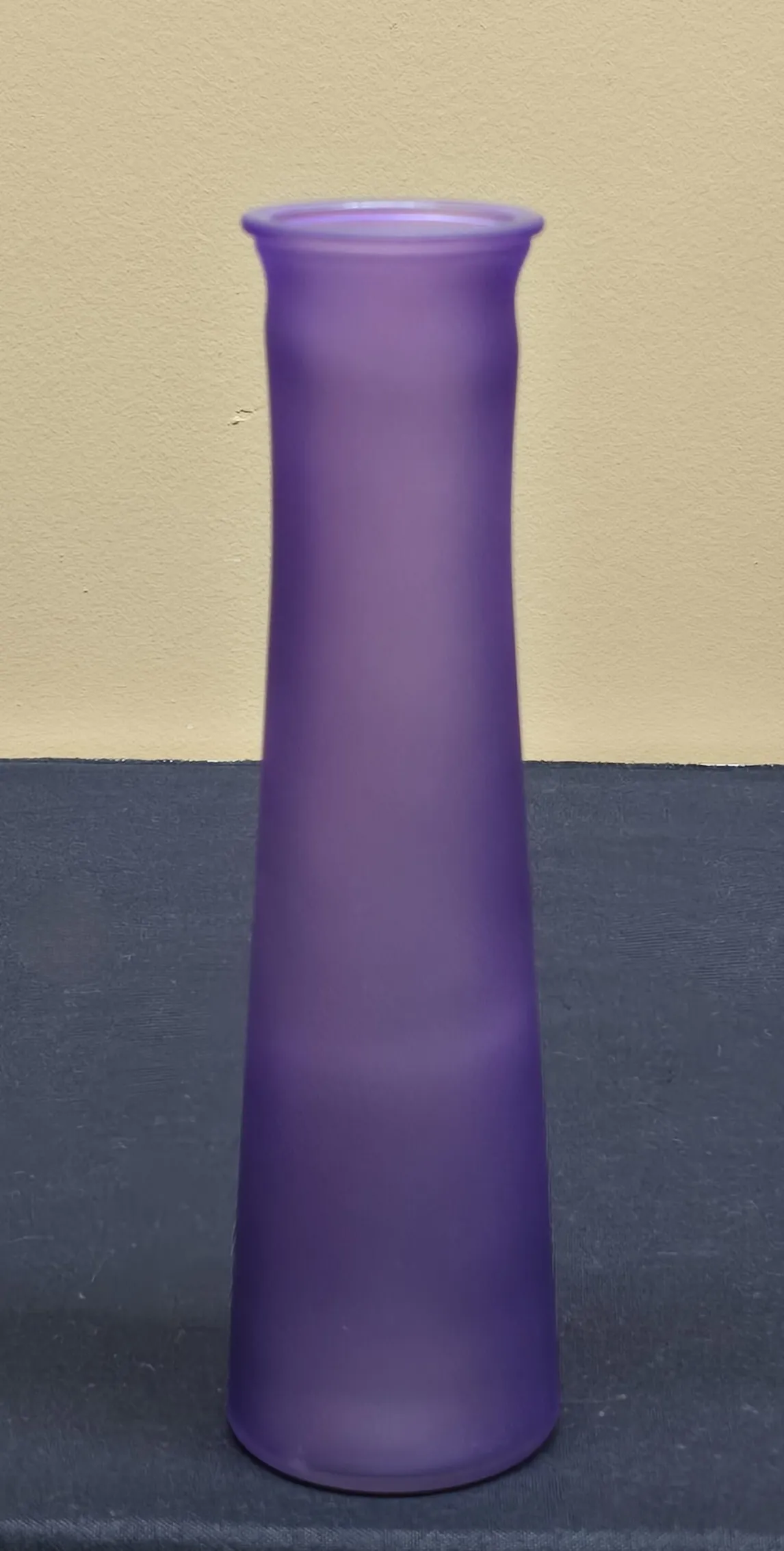 Slim Glass Vase - 9 inch