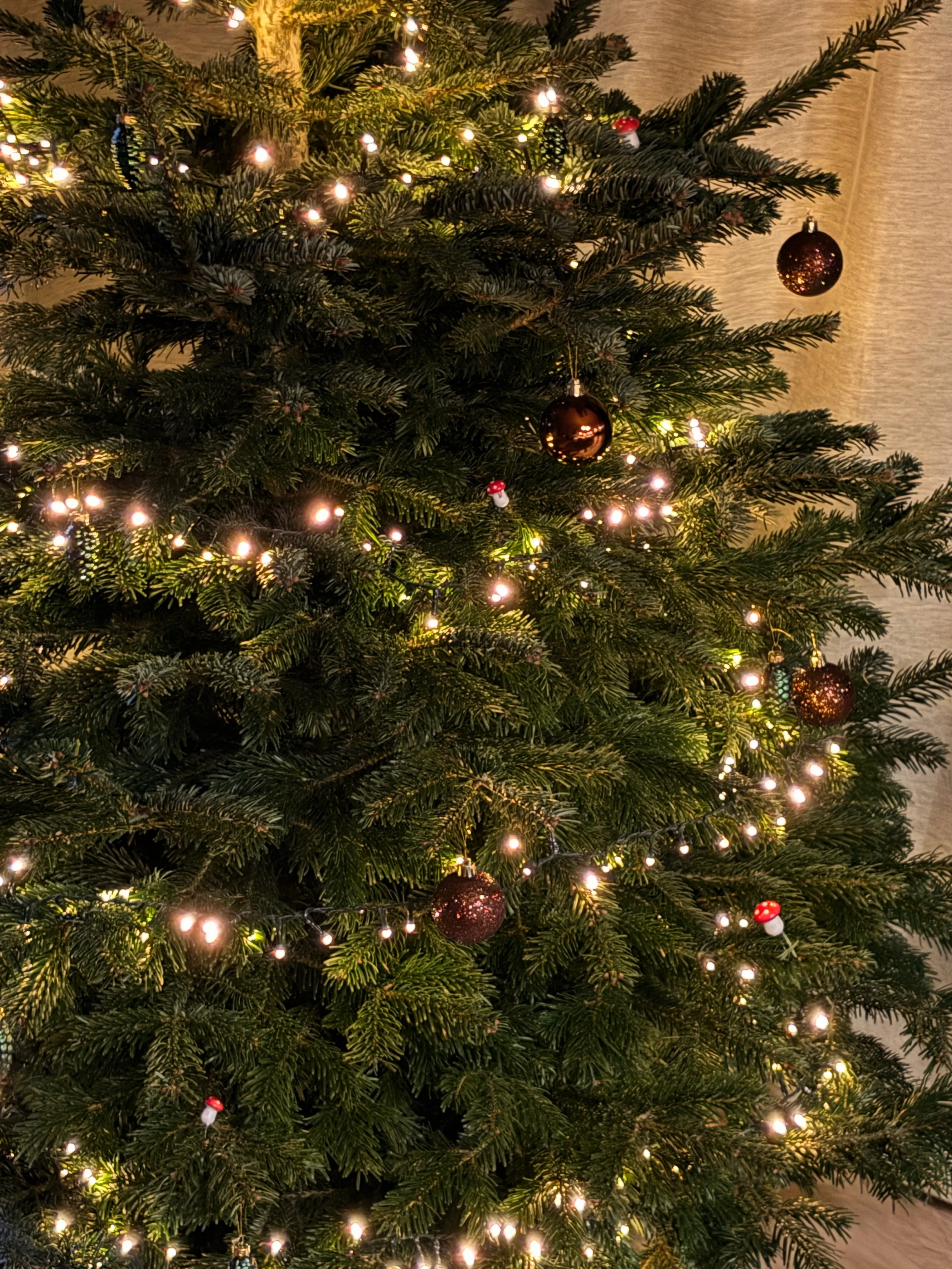 Aanraders voor de Feestdagen