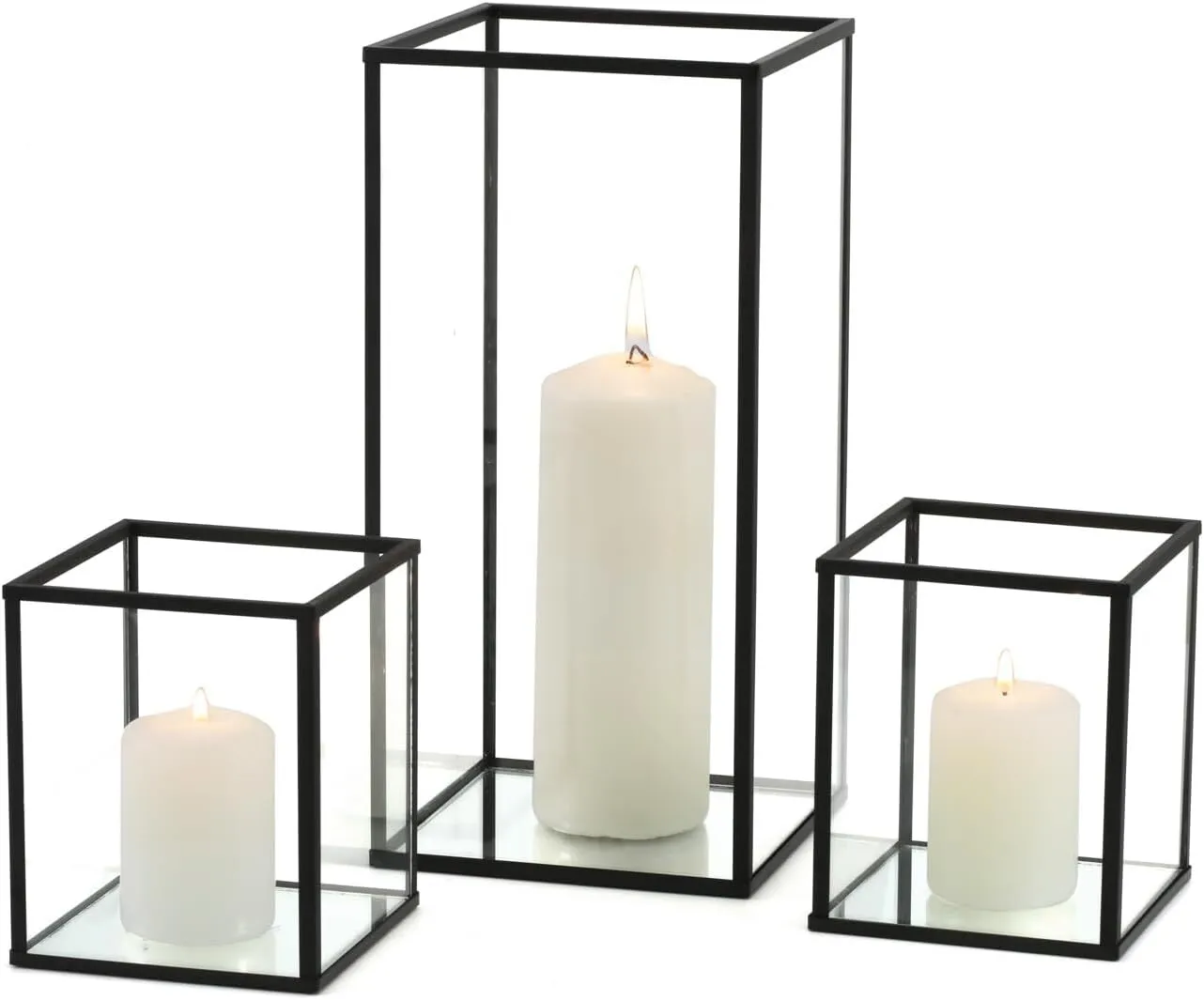 Glass Black Terrariums