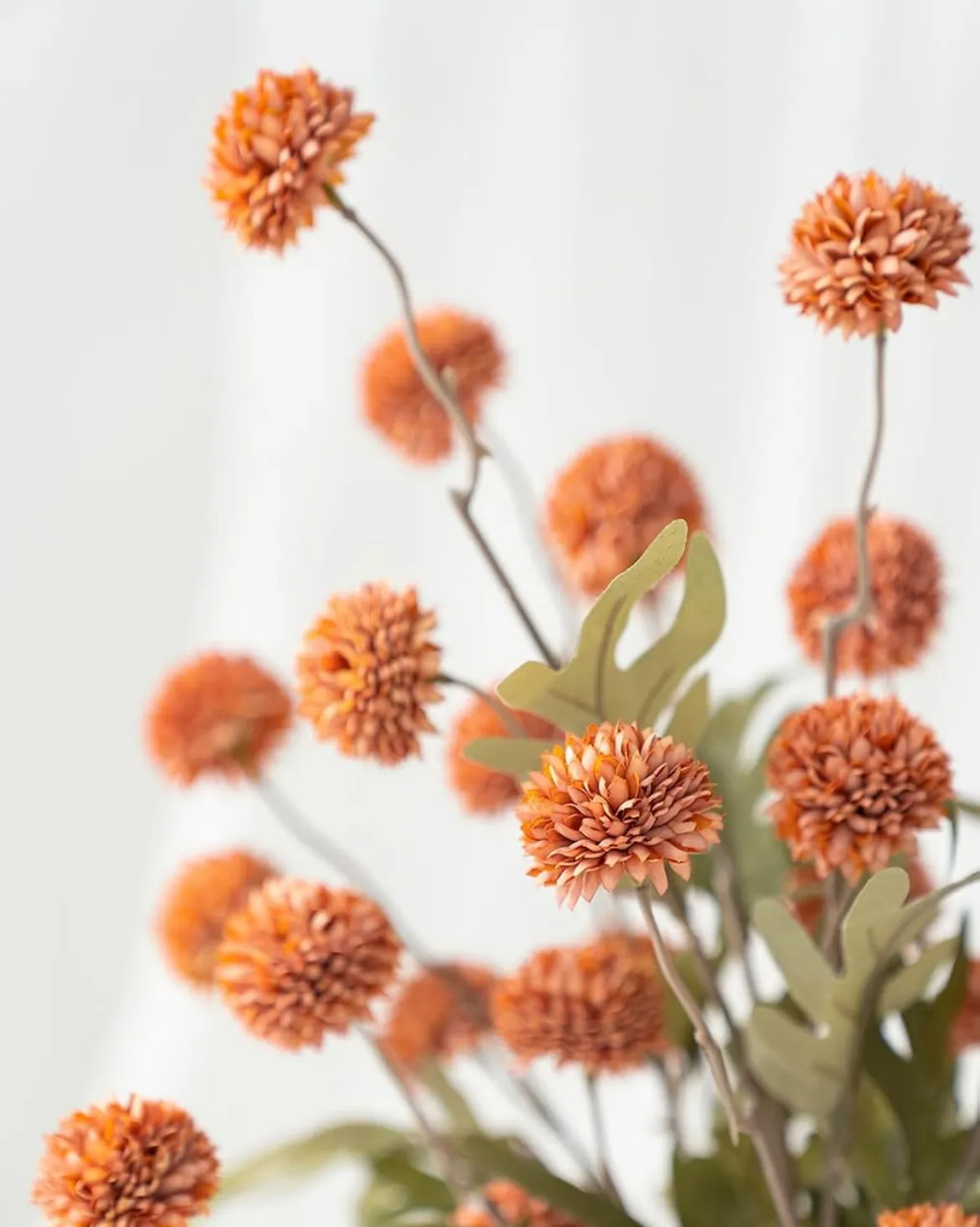 Burnt Orange Pompon Mums