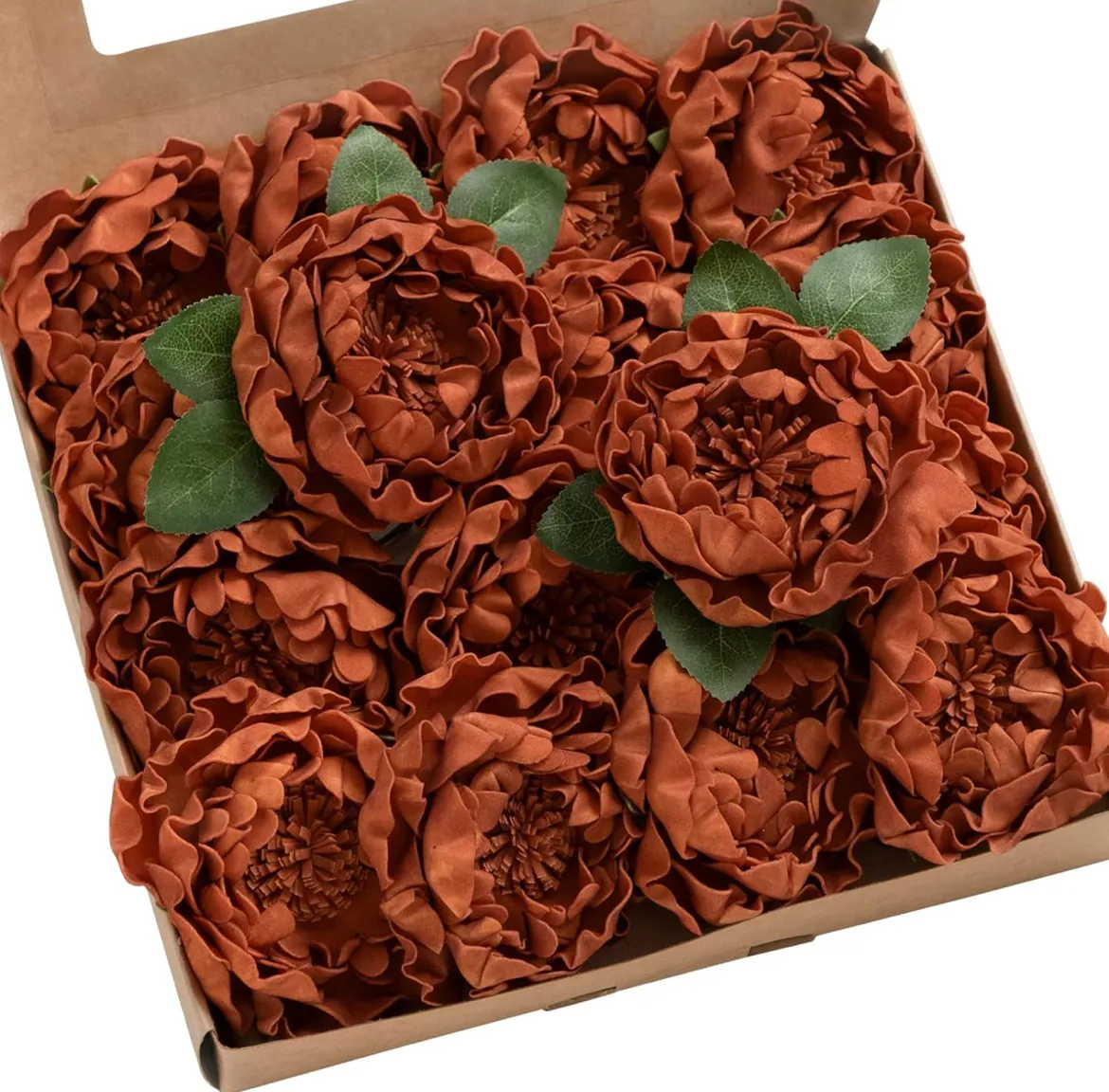 Burnt Orange Rust Peonies