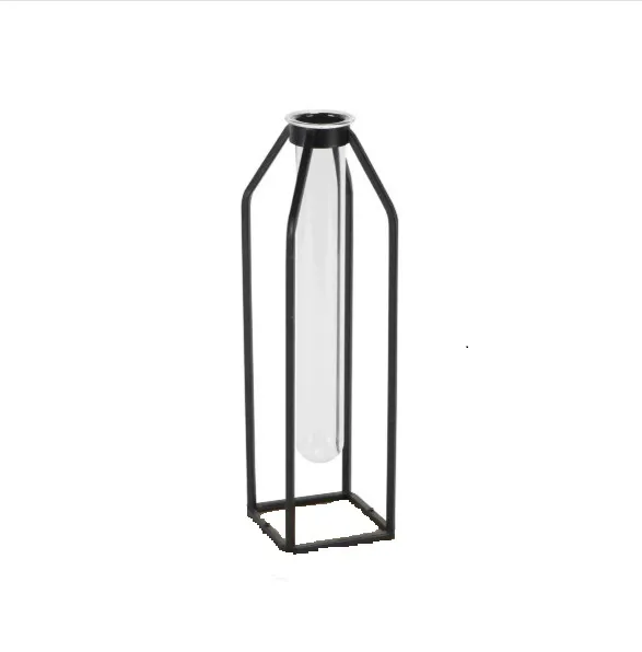 Black Frame Test Tube Vases