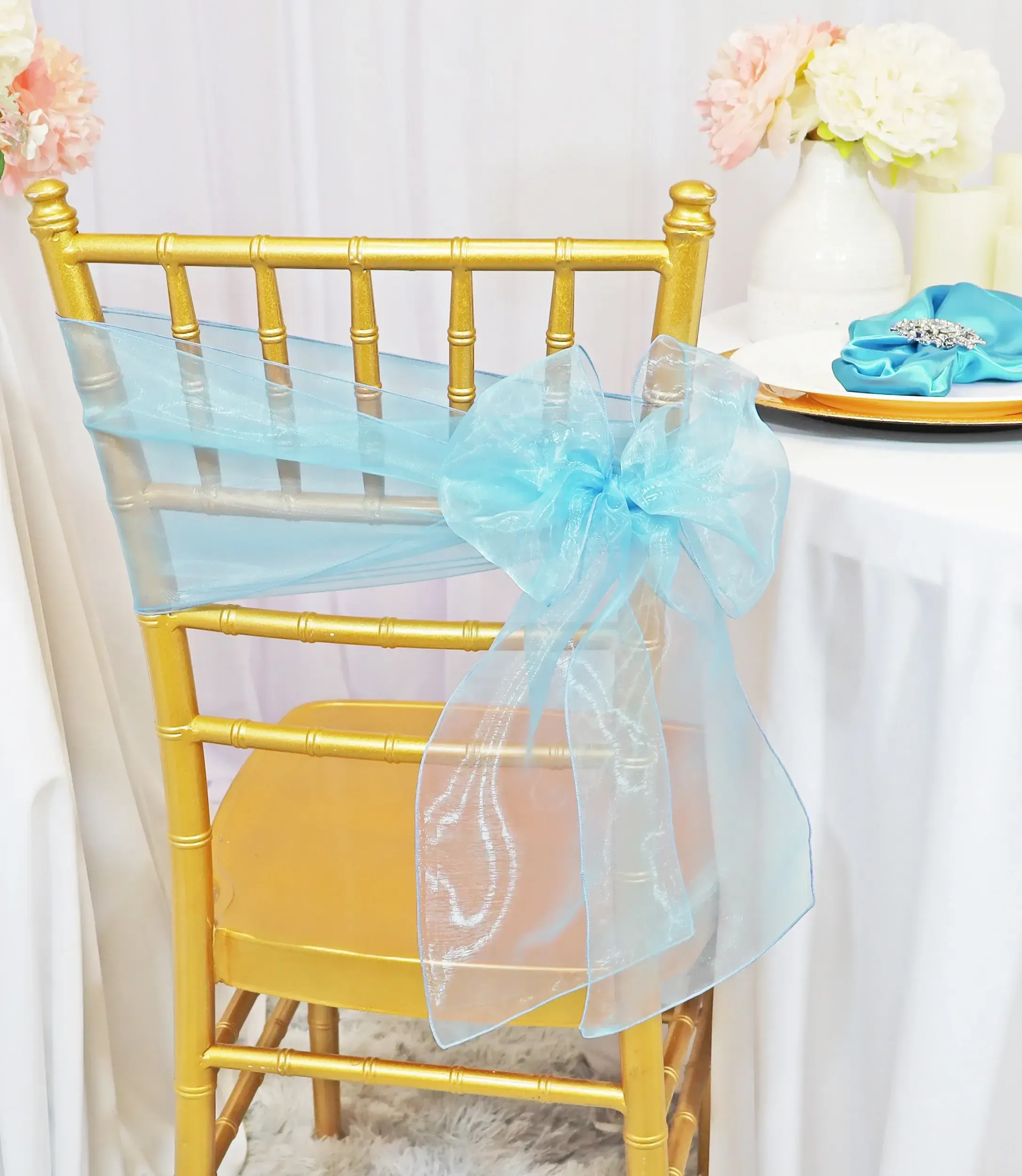 Baby Blue Organza Sashes